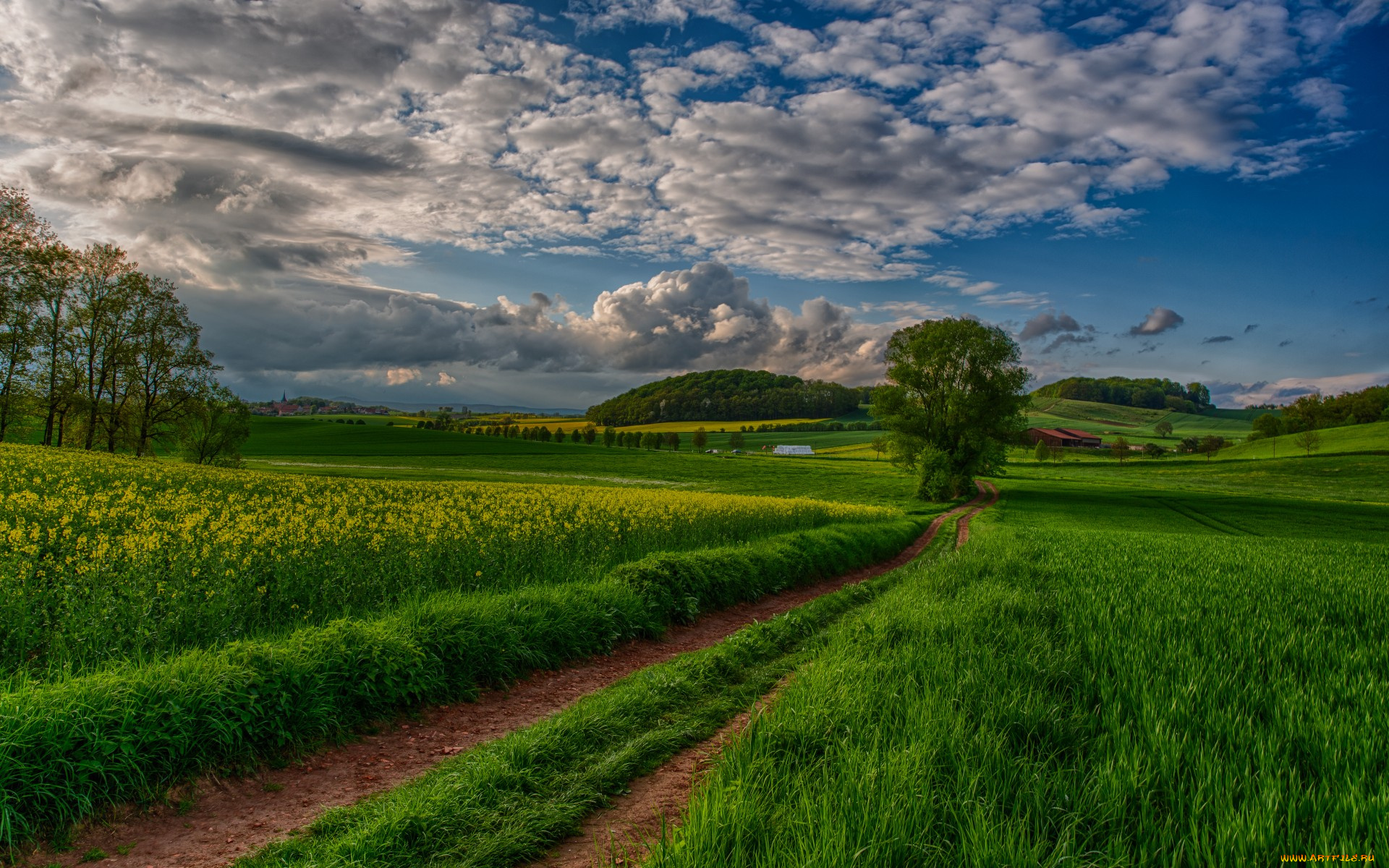 природа, дороги, road, path, красивый, небо, sky, view, scenery, landscape, nature, пейзаж, вид, beautiful, clouds, trees, field, sunset, закат, облака, деревья, поле