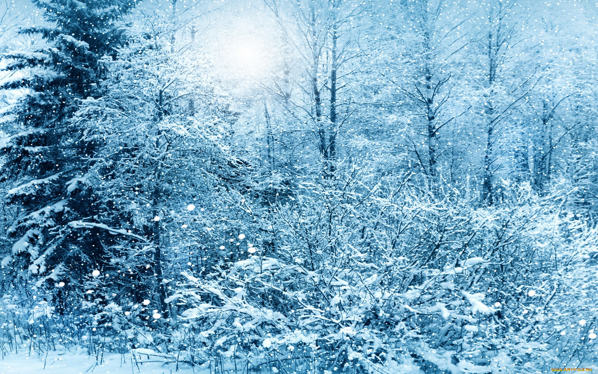 природа, зима, деревья, снег, tree, snow, nature, winter