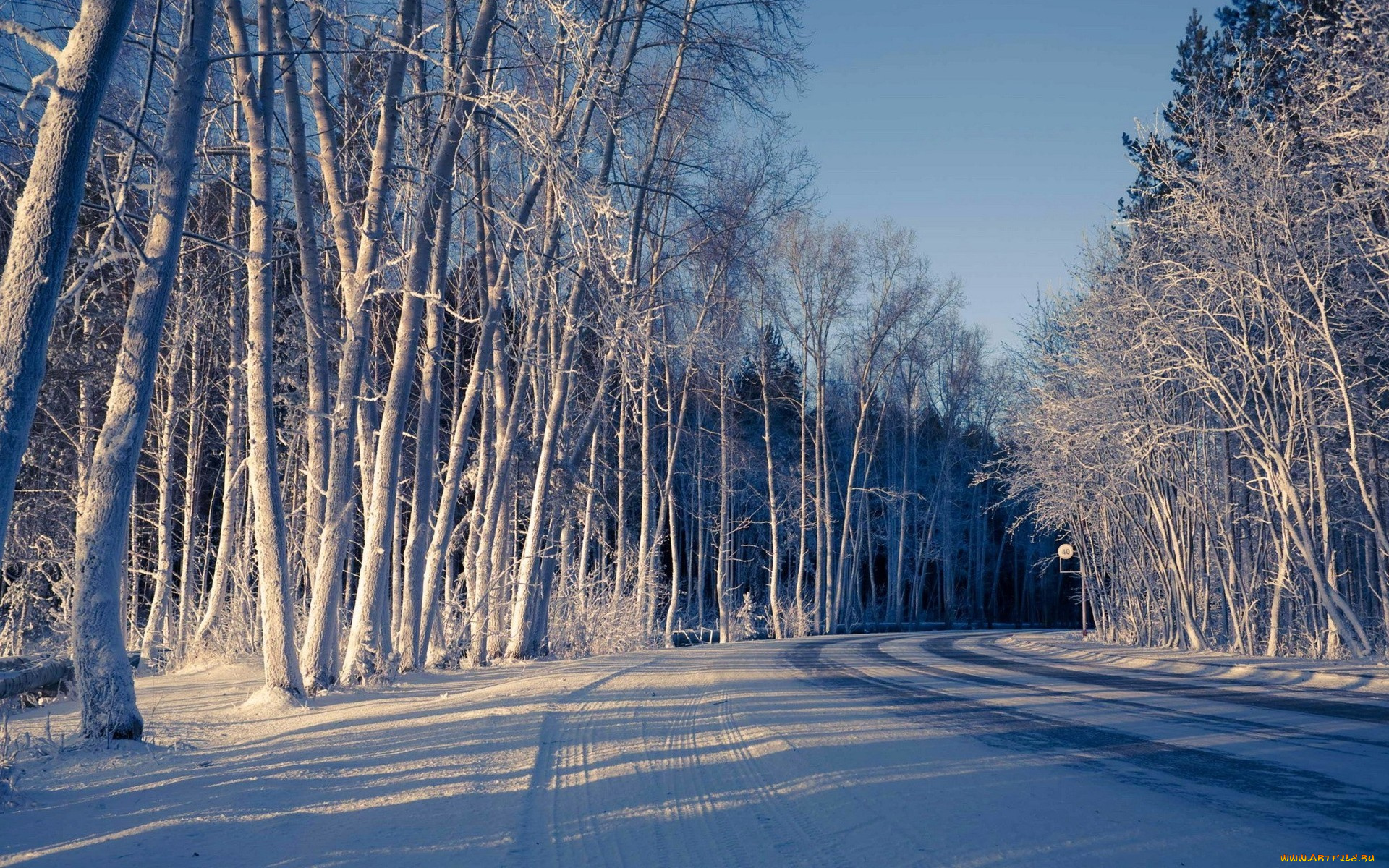природа, зима, снег, дорога, деревья
