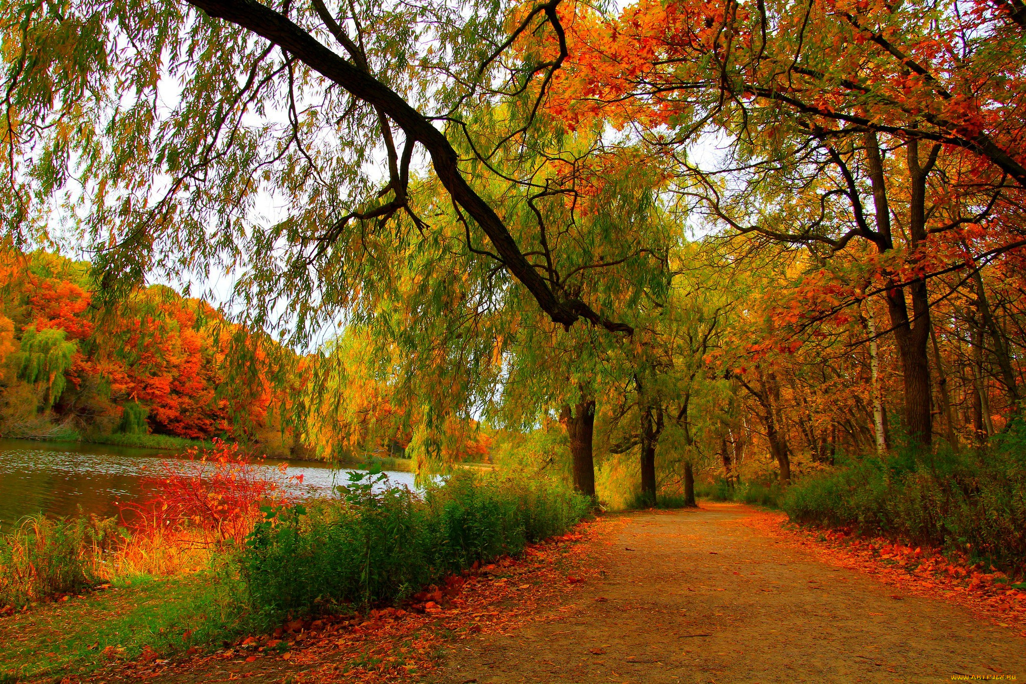 природа, дороги, river, landscape, scenery, view, autumn, осен, деревья, лес, trees, forest, nature, пейзаж