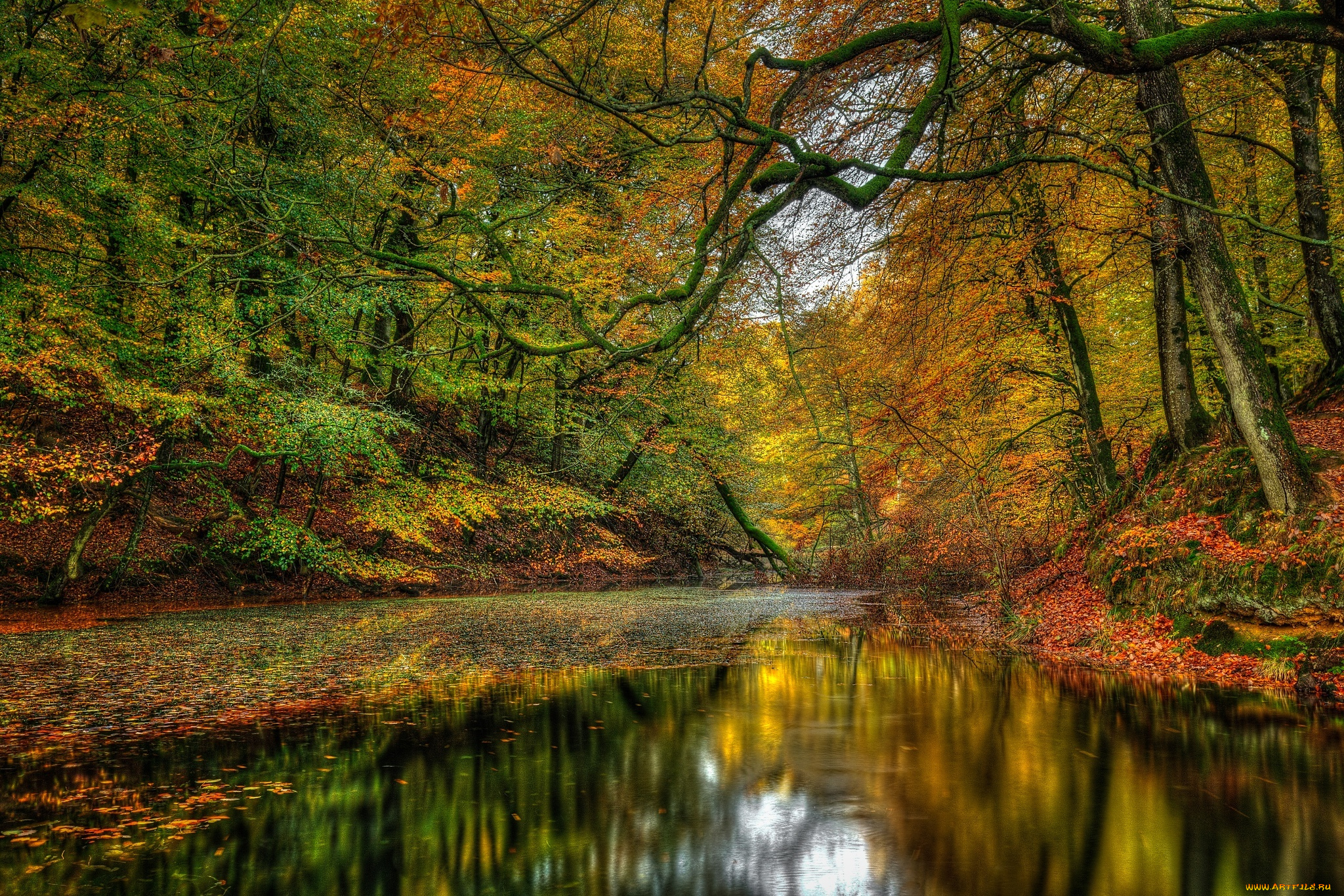 природа, реки, озера, пейзаж, лес, деревья, осен, nature, river, landscape, forest, trees, autumn, scenery, view