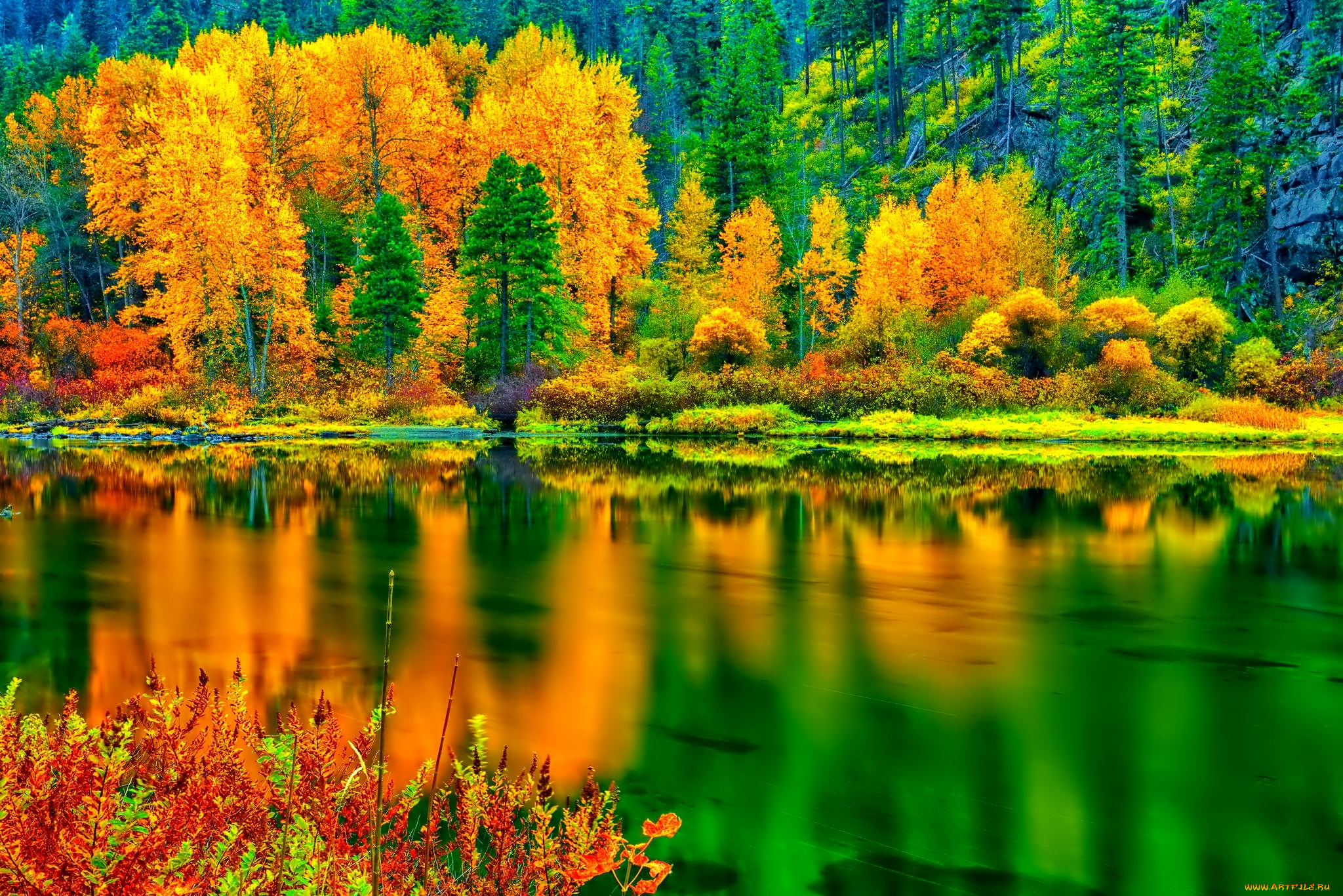 Красивые обои на телефон природа. Яркая природа. Природа осень. Яркие краски природы. Осенний лес.