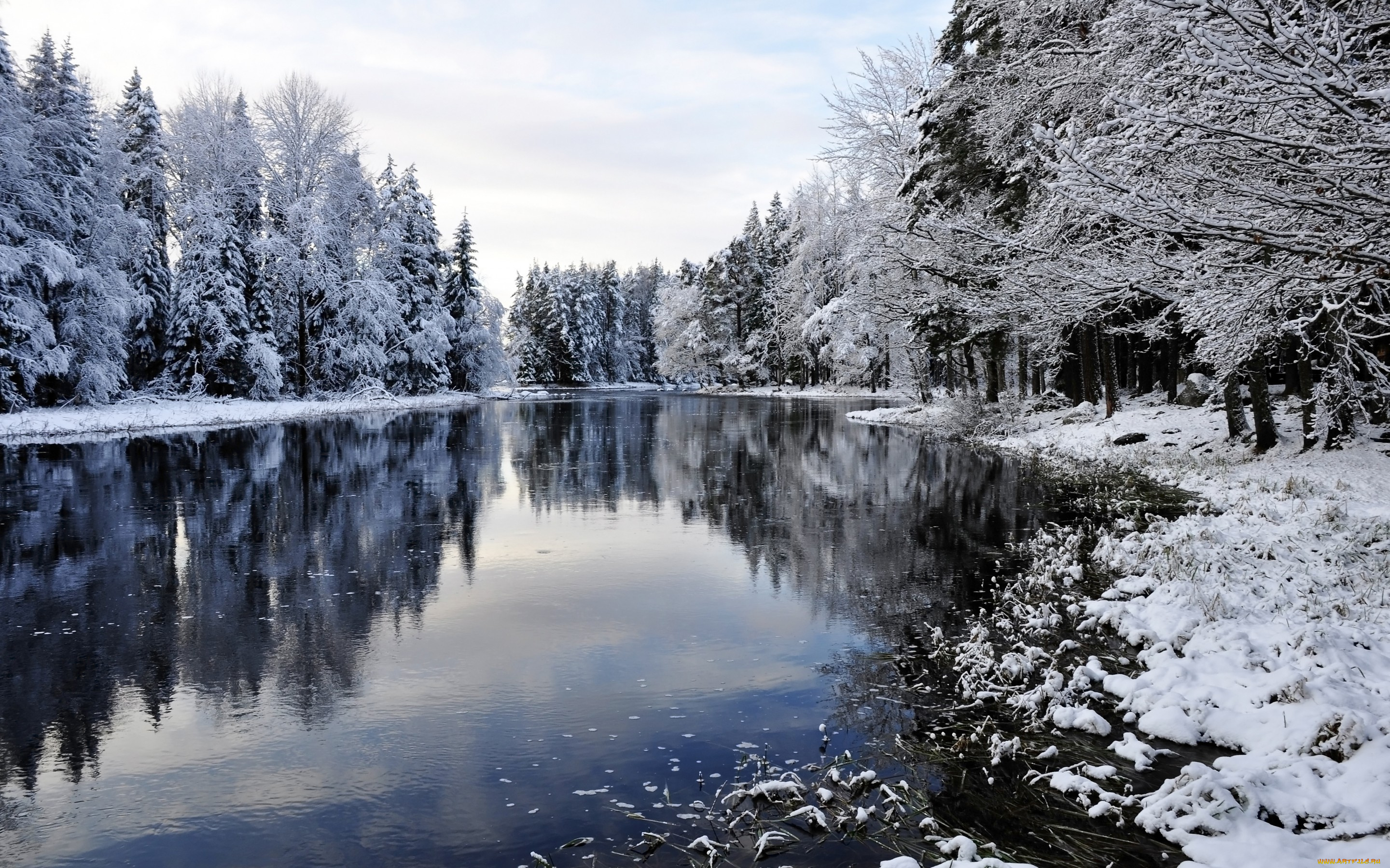 природа, зима, снег, snow, landscape, winter, деревья, река