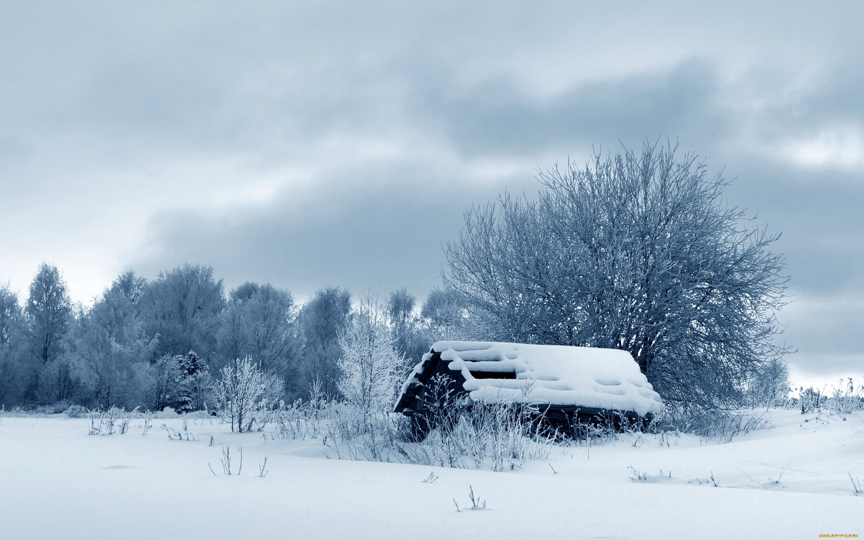 природа, зима, snow, nature, winter, избушка, деревья, снег, tree