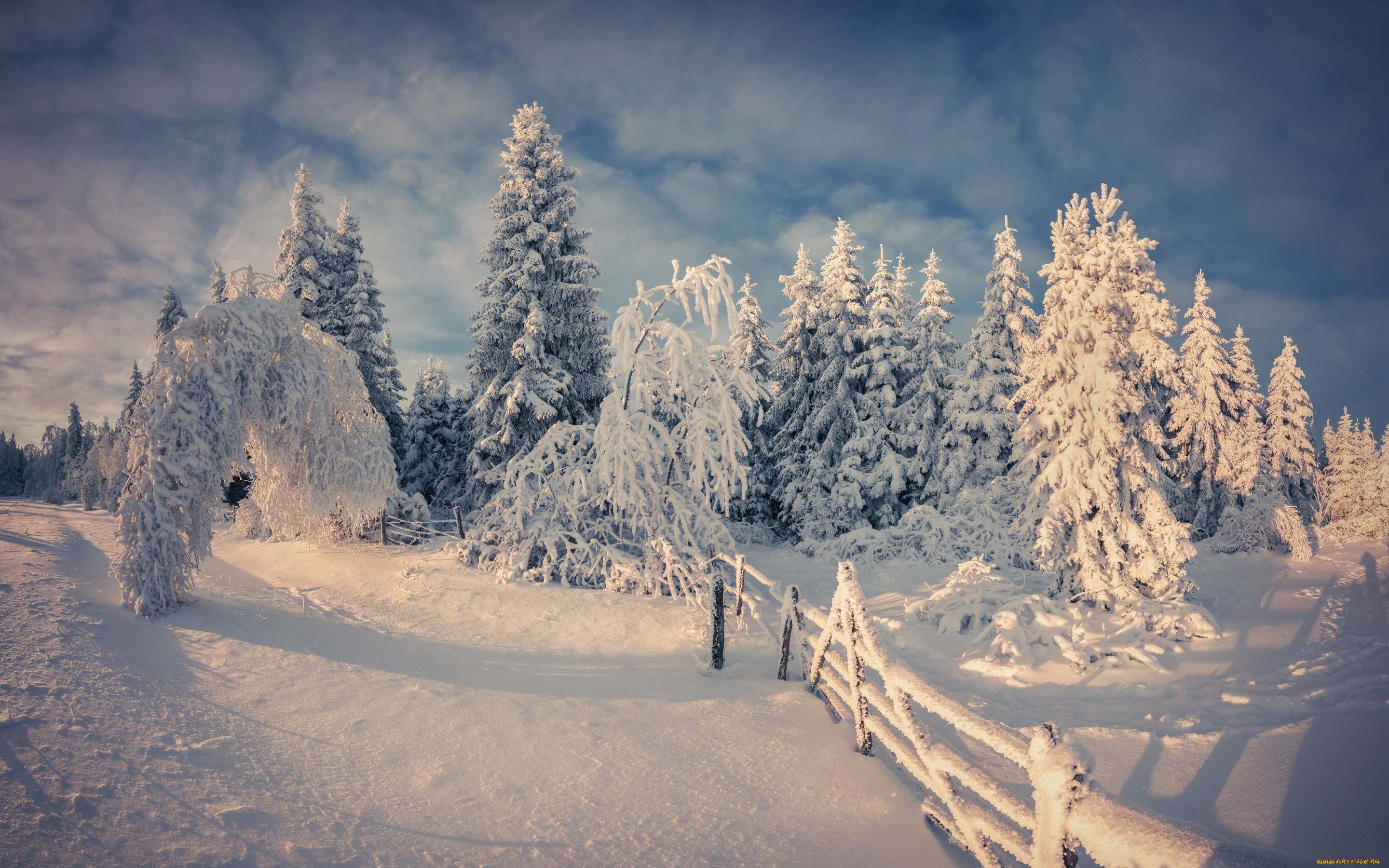 природа, зима, winter, nature, snow, tree, снег, деревья