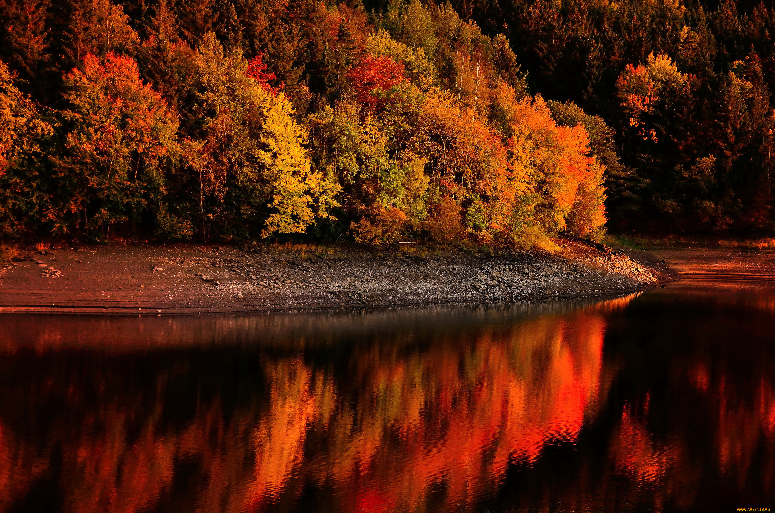 природа, лес, осень, деревья, река