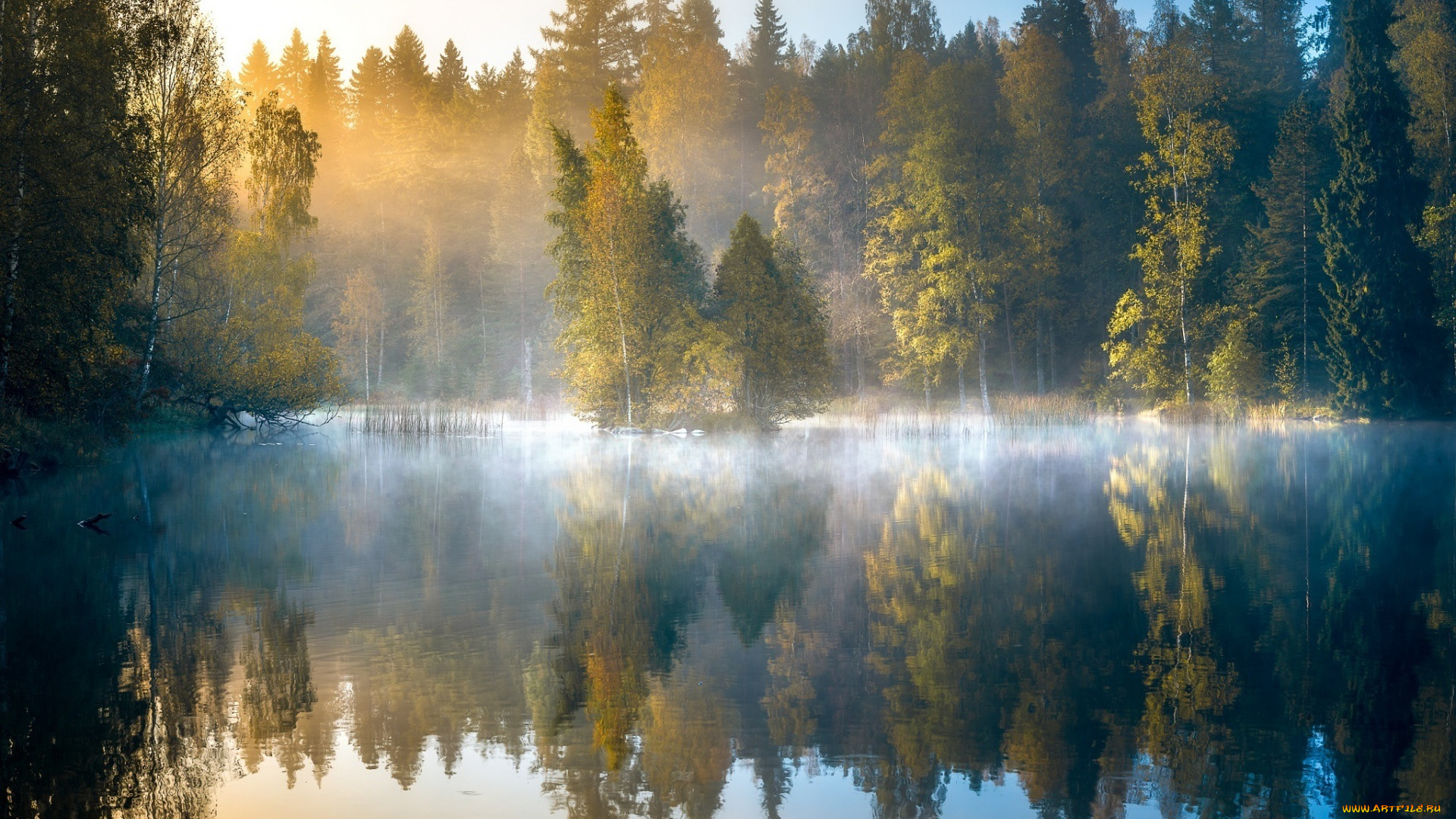 природа, реки, озера, осень, лес, утро, озеро, туман