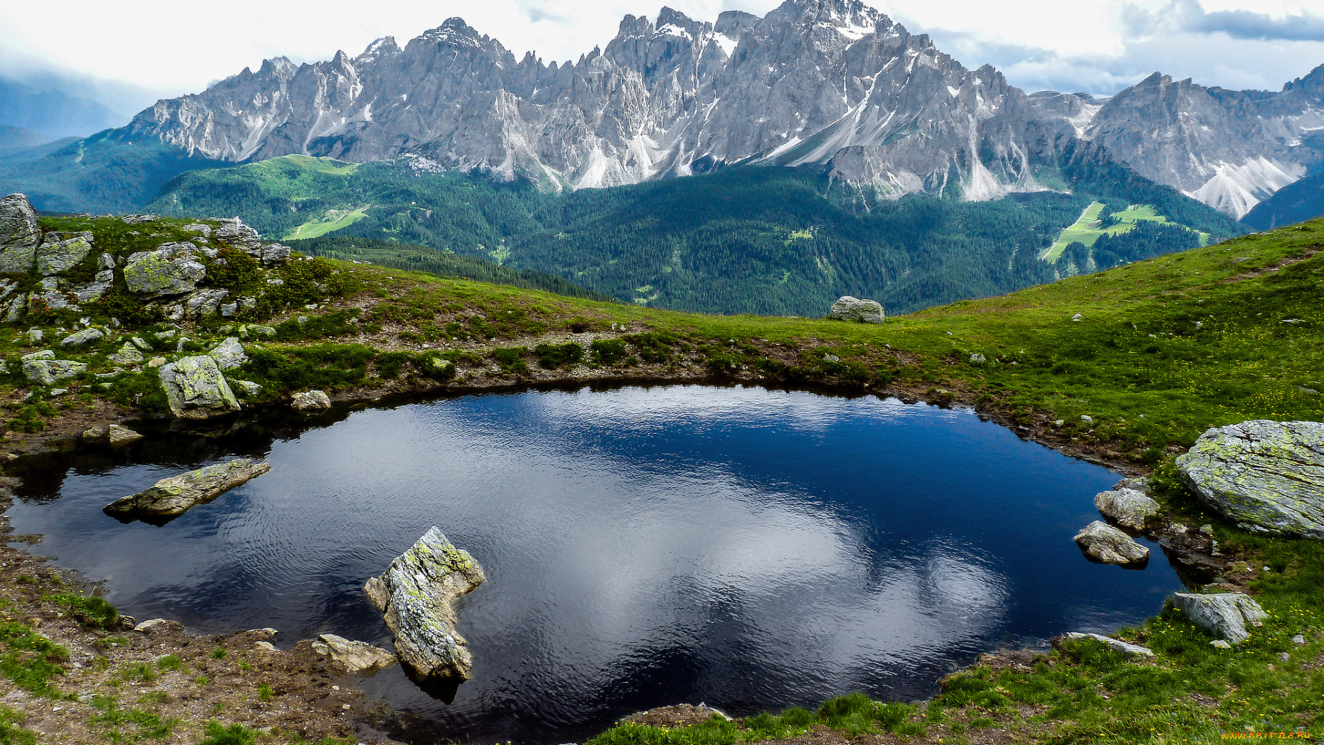 природа, реки, озера, река, лес