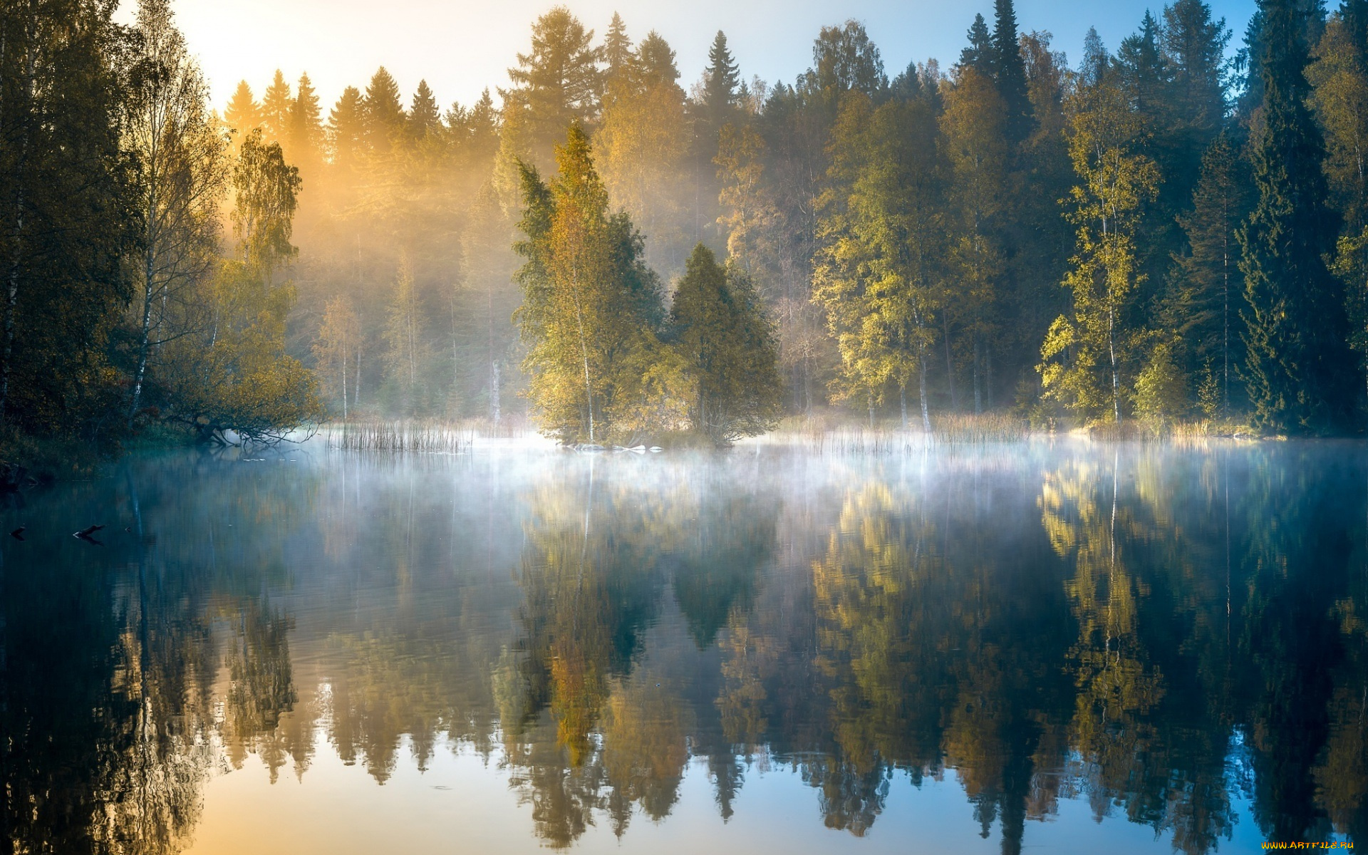 природа, реки, озера, осень, лес, утро, озеро, туман