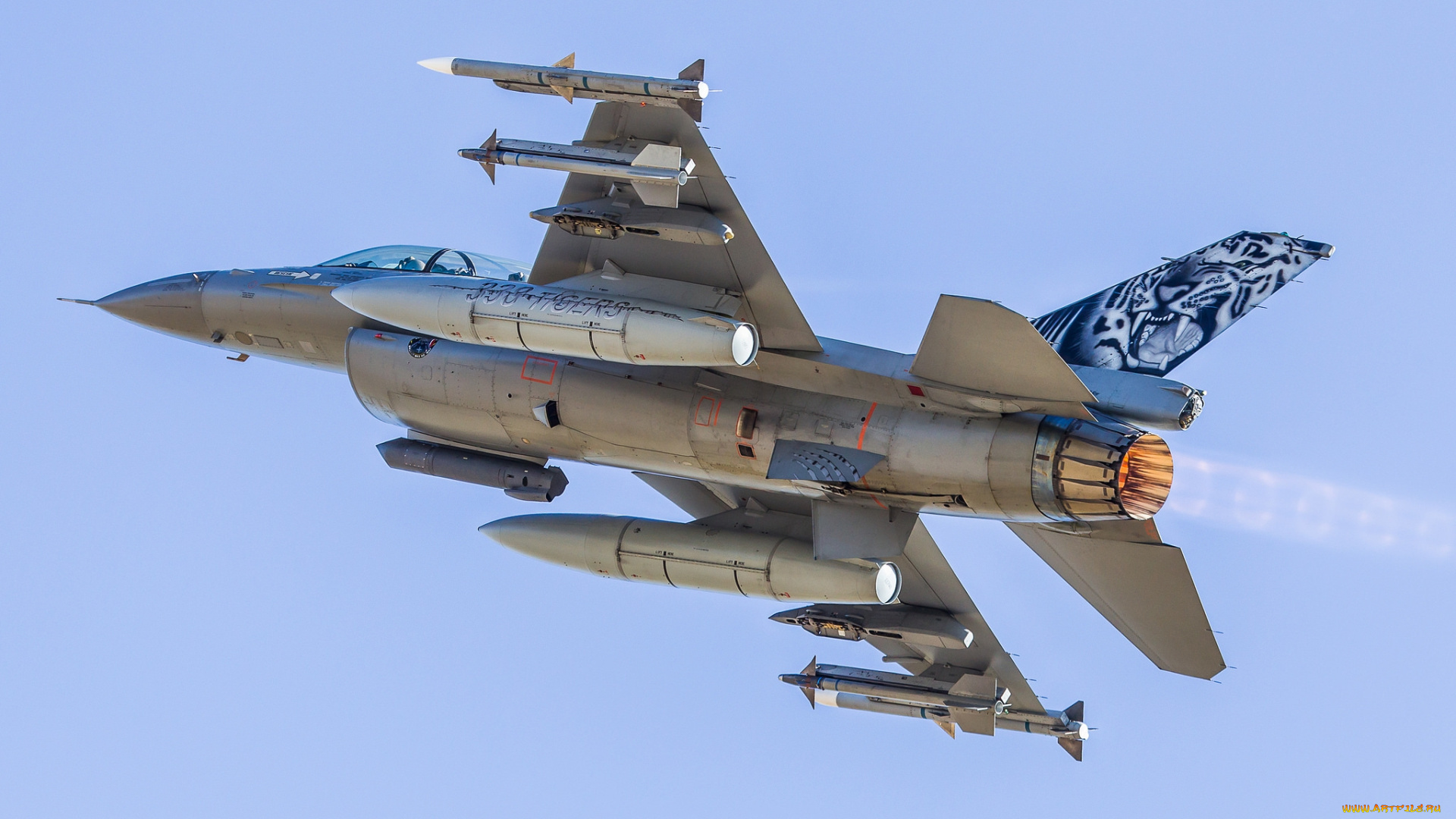 f-16bm, авиация, боевые, самолёты, истребитель