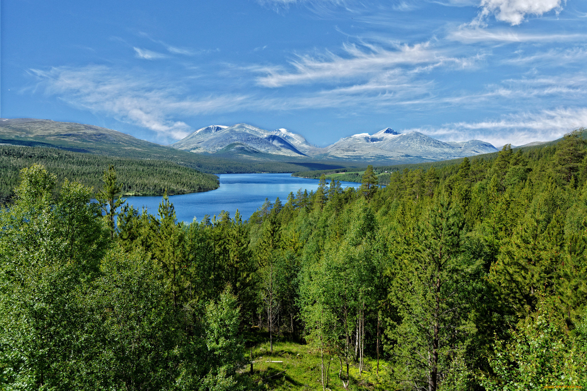 природа, пейзажи, река, лес