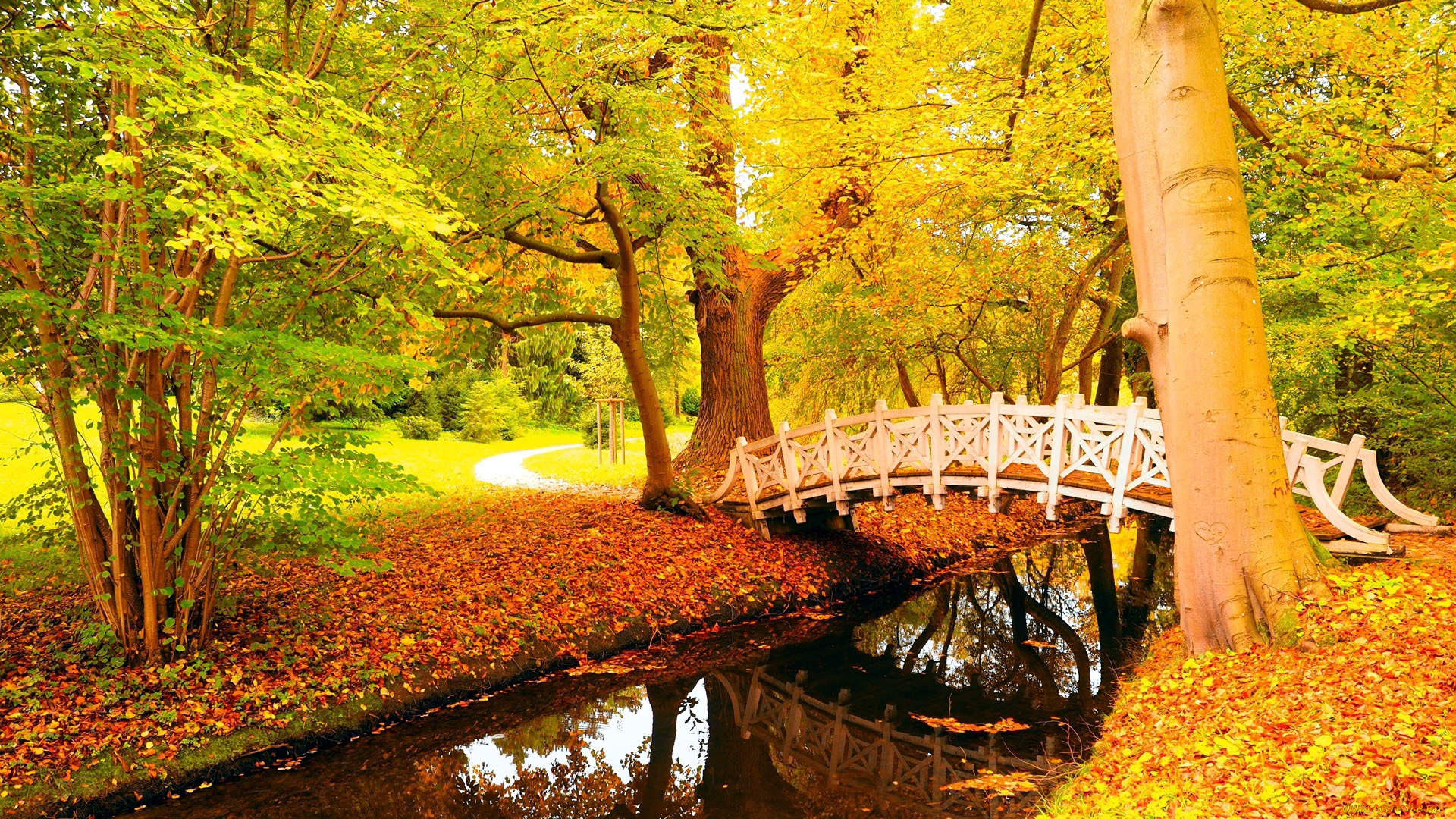 природа, парк, мостик, водоем, осень, листопад