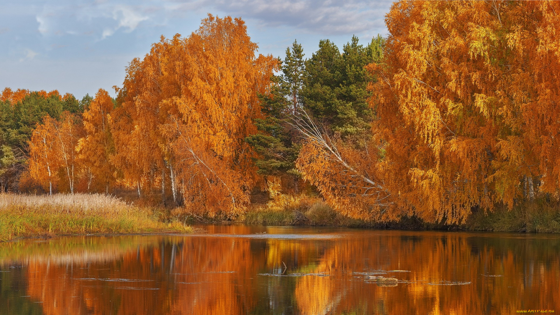 природа, реки, озера, осень, река