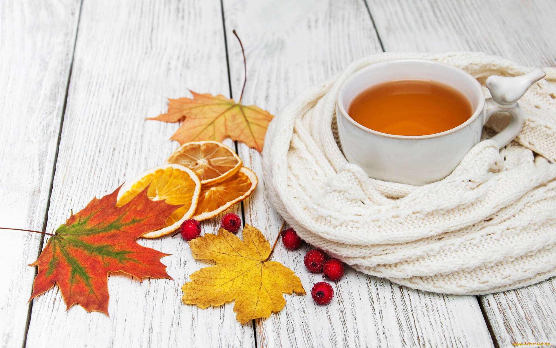 еда, напитки, , чай, шарф, чай, листья, осень