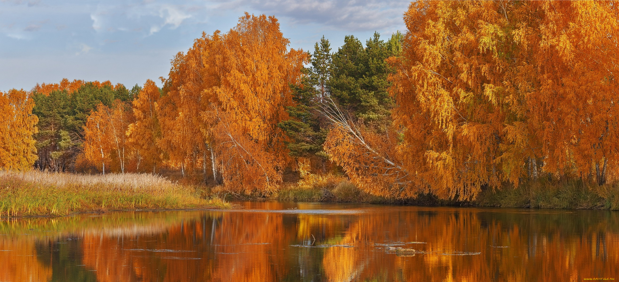 природа, реки, озера, осень, река