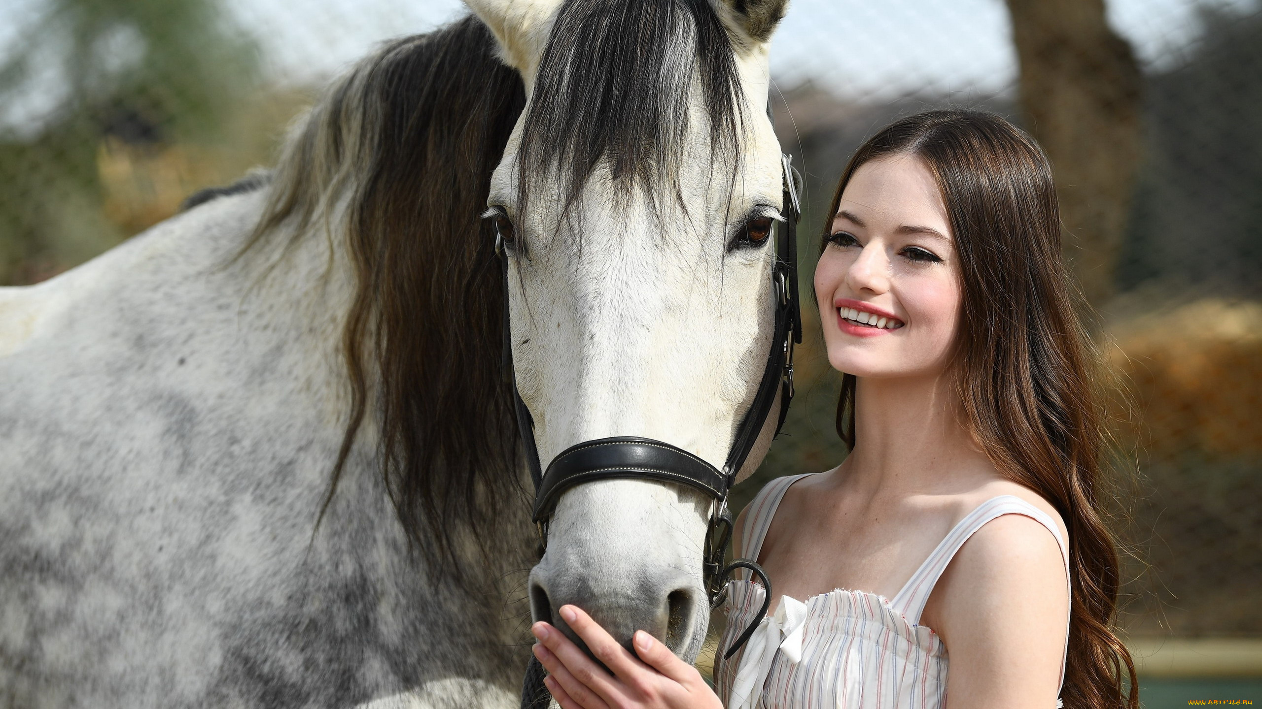 девушки, mackenzie, foy, лошадь, улыбка