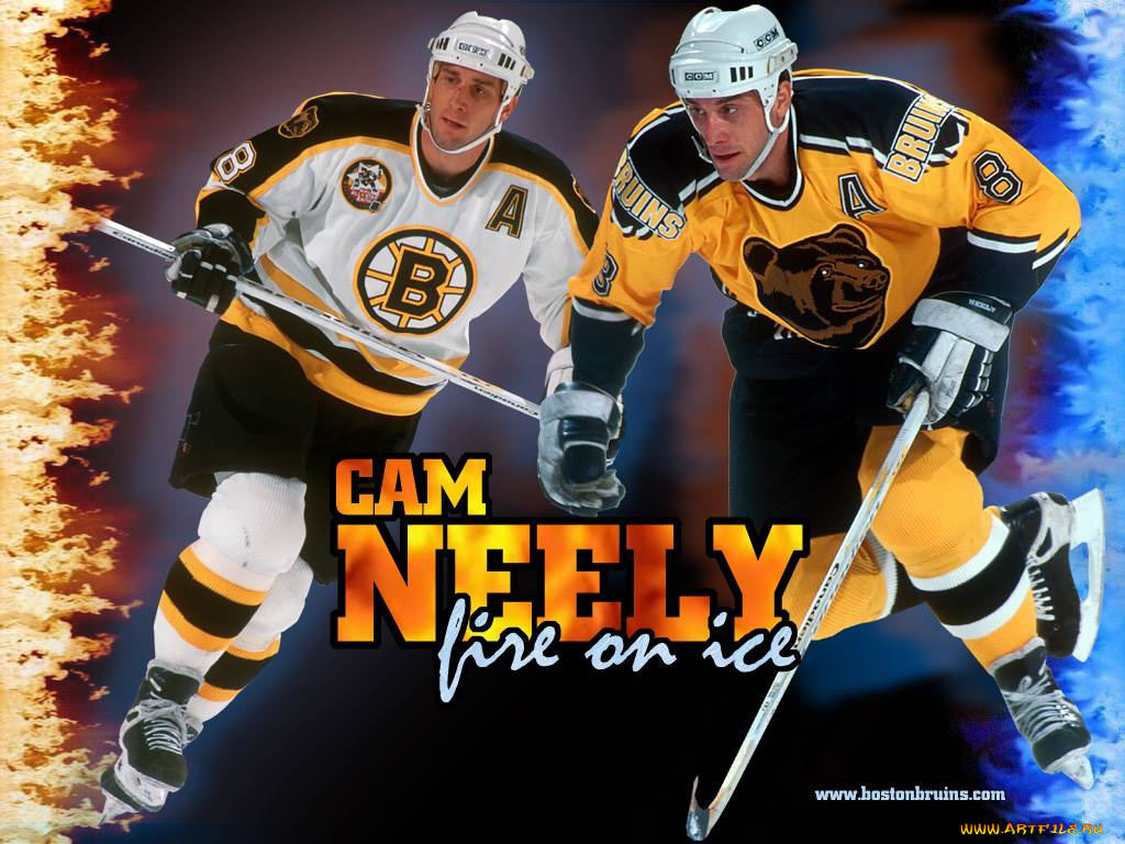 neely, спорт, nhl