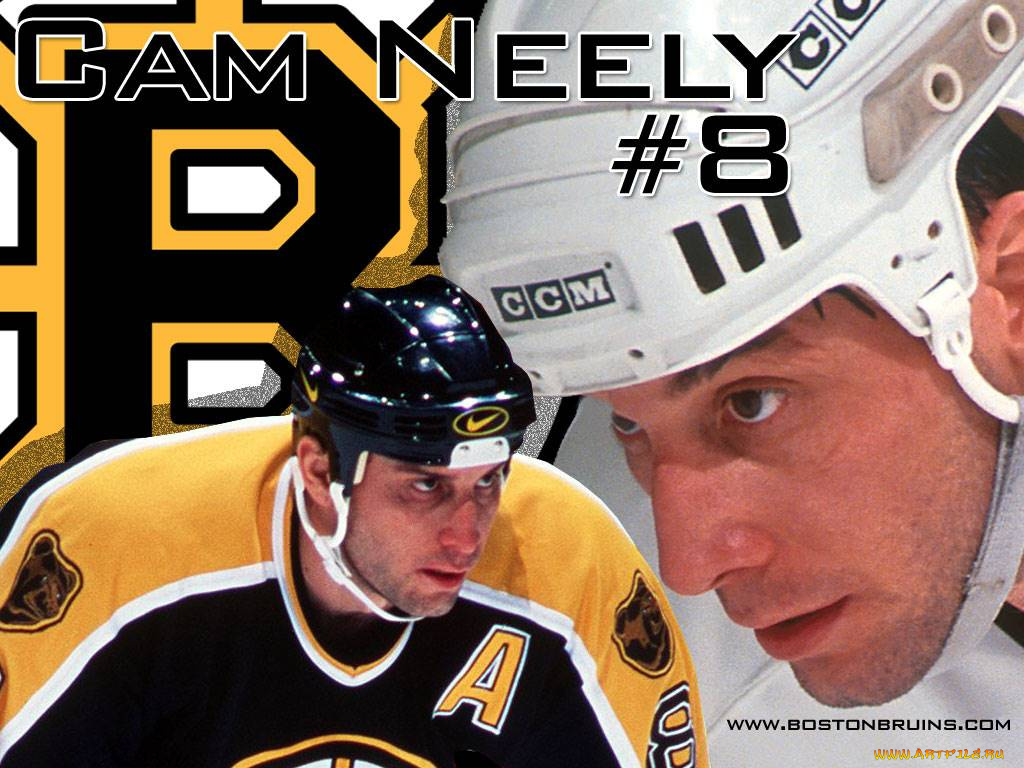 neely, спорт, nhl