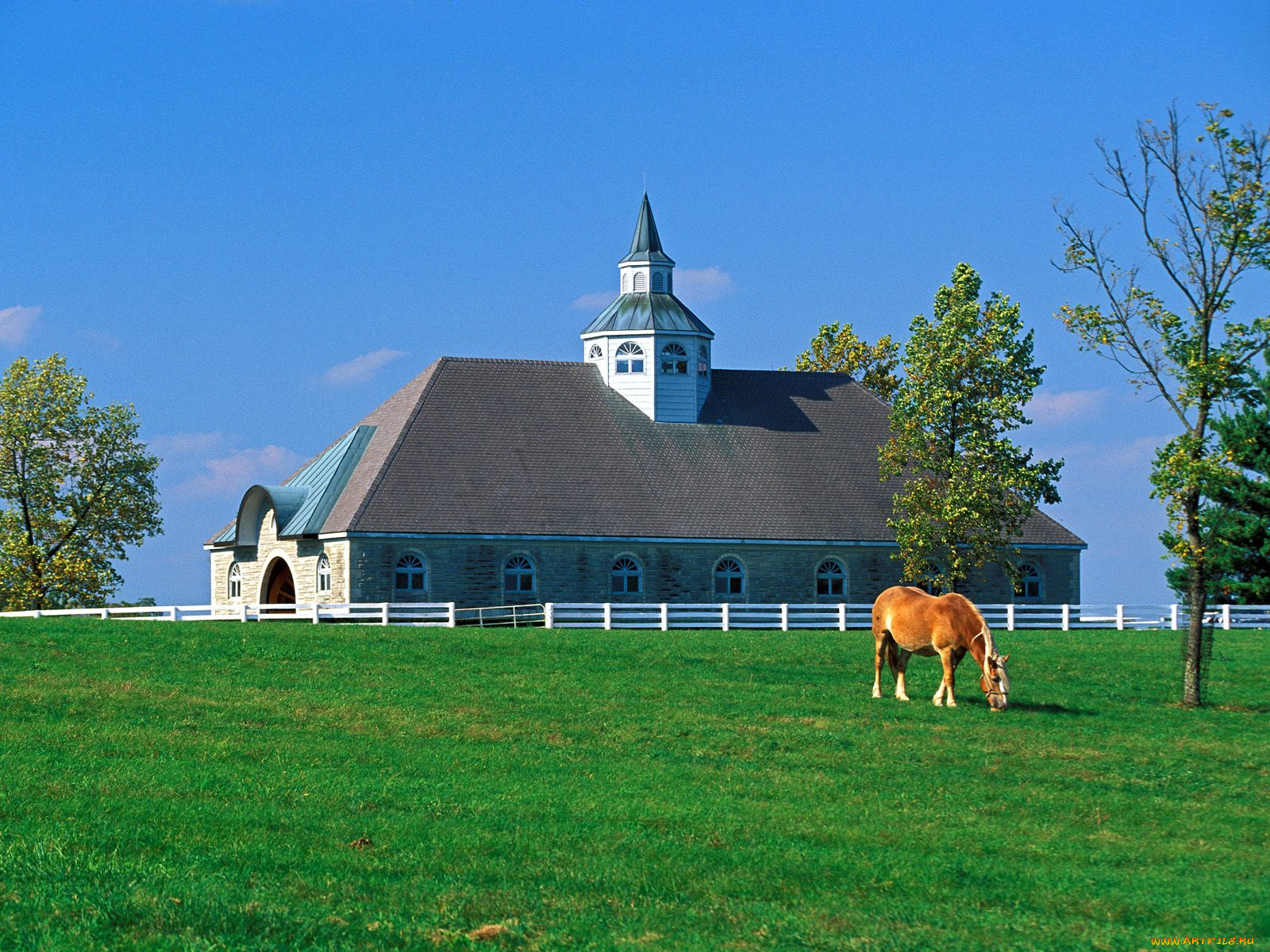 donamire, horse, farm, lexington, kentucky, города