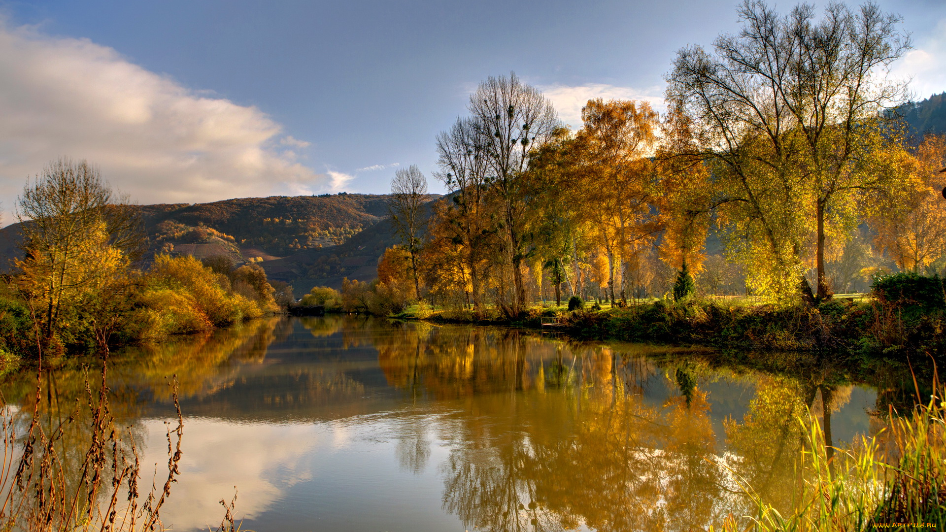 германия, нерен, природа, реки, озера, река, осень