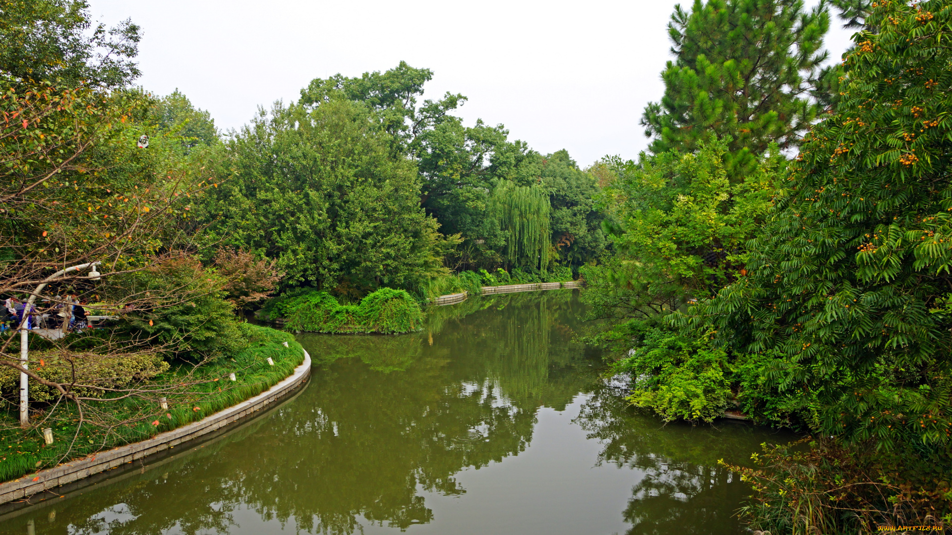 китай, ханьчжоу, природа, парк, водоем, деревья