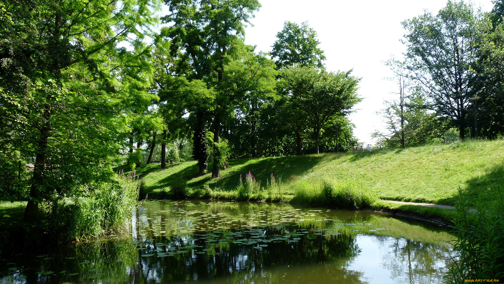 strasbourg, природа, парк, водоем, деревья
