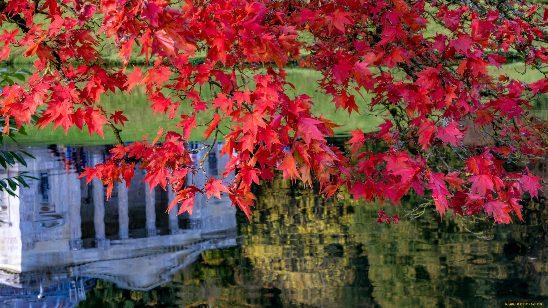 природа, листья, stourhead, garden, wiltshire, england, стурхед, уилтшир, англия, пейзажный, парк, озеро, осень, клён, ветки, отражение