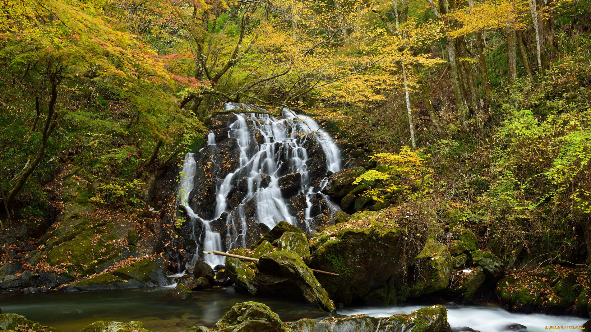 природа, водопады, лес, водопад, река