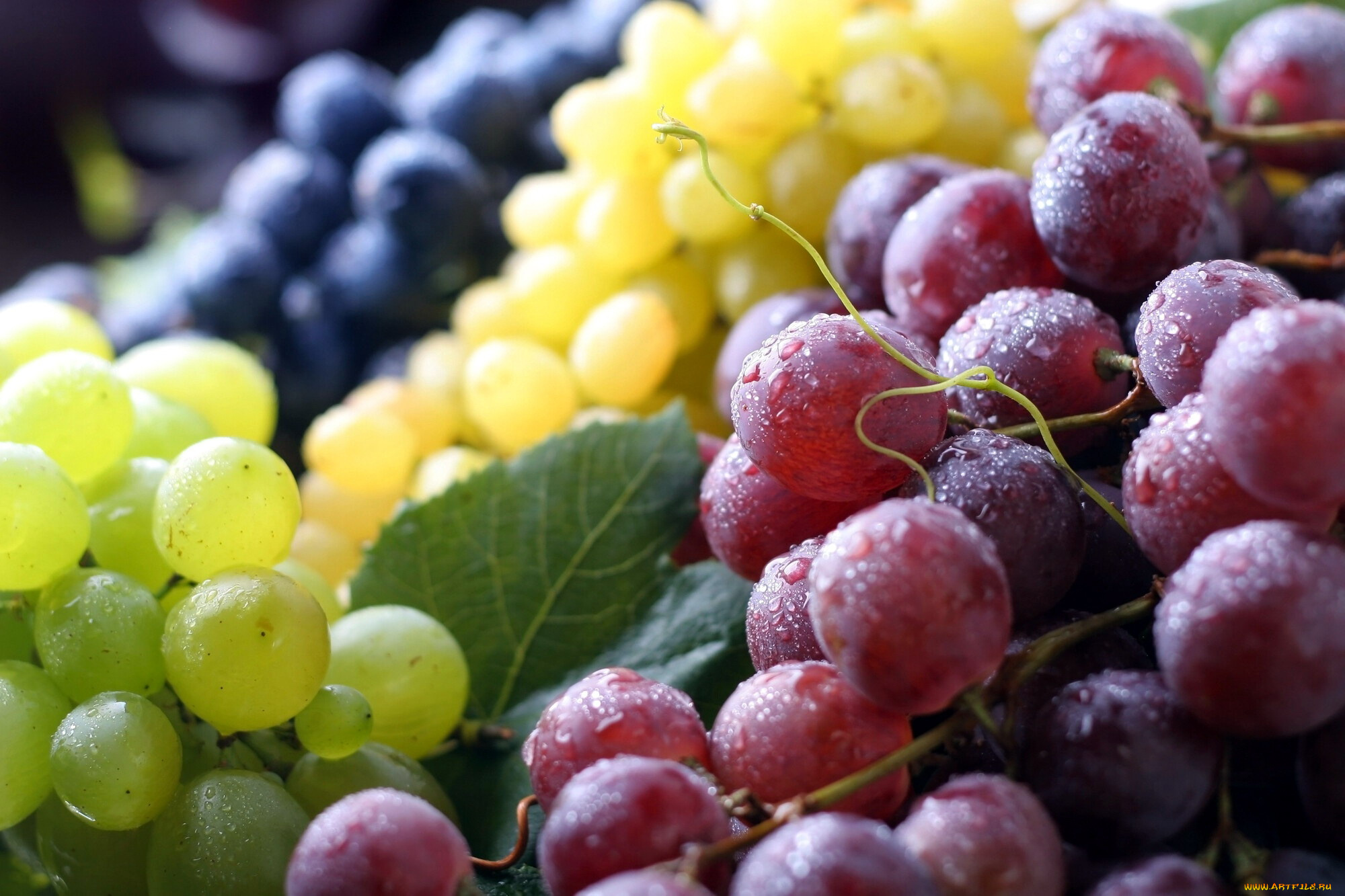 еда, виноград, ягоды, капли