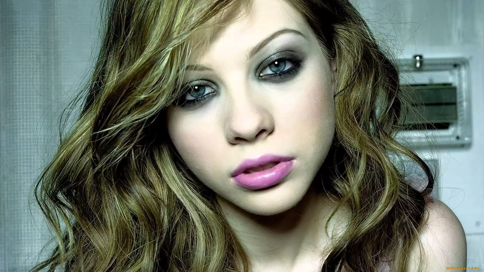 девушки, michelle, trachtenberg, русая, лицо