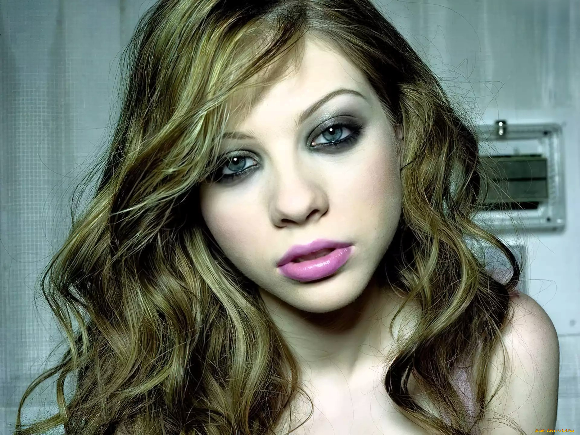 девушки, michelle, trachtenberg, русая, лицо