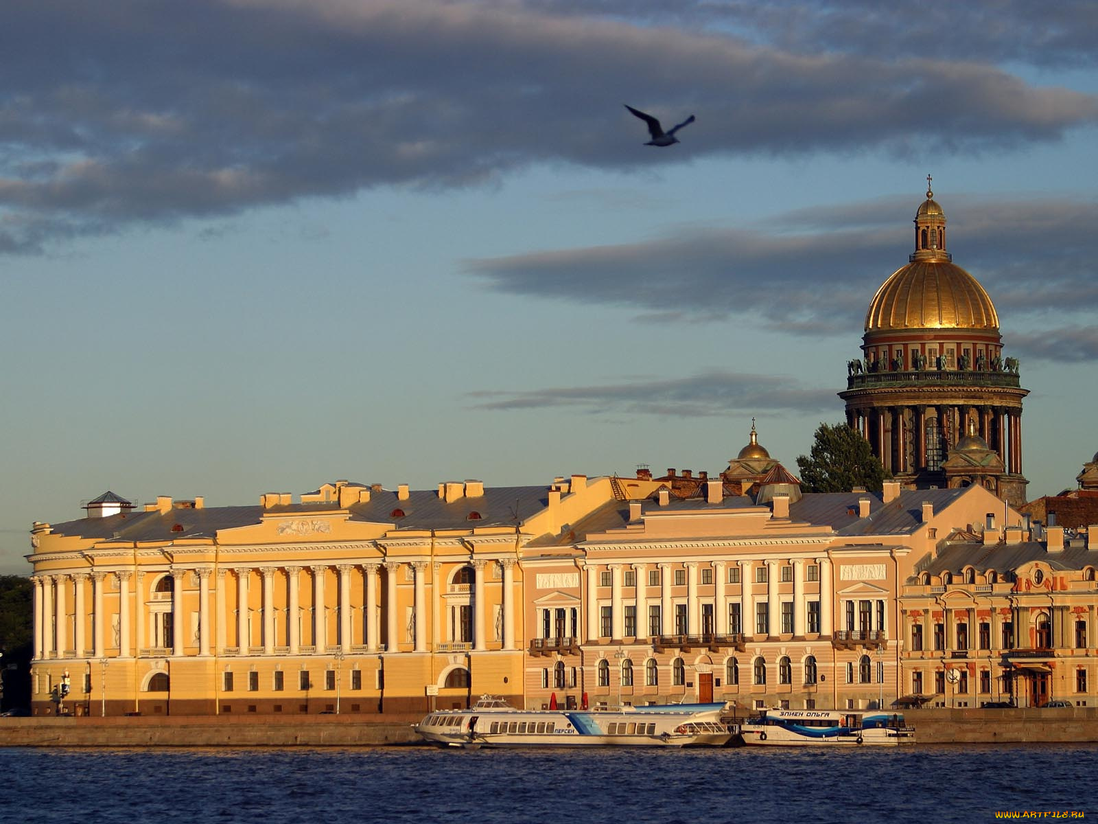 питер, города, санкт, петербург, петергоф, россия