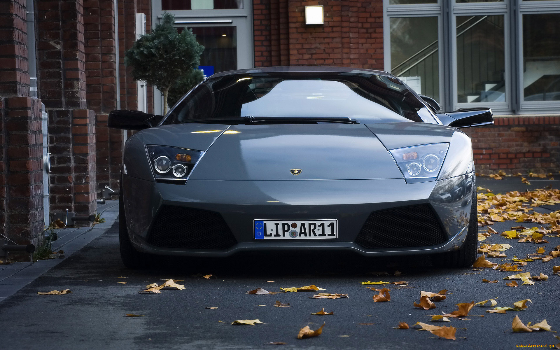 автомобили, lamborghini