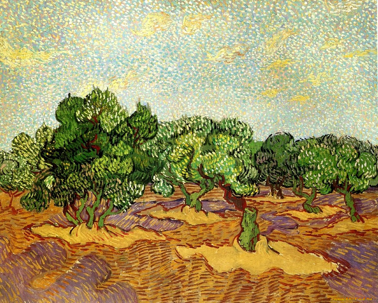 olive, grove, pale, blue, sky, рисованные, vincent, van, gogh