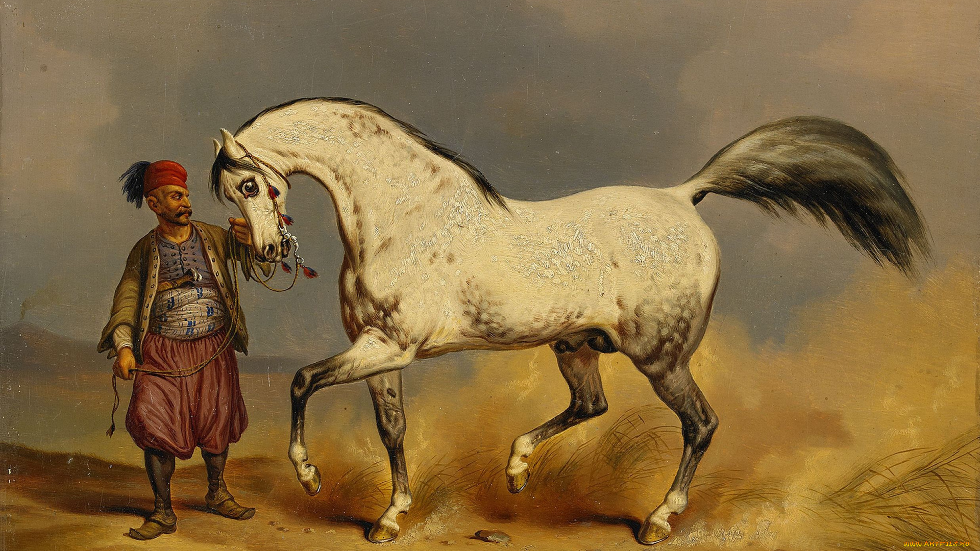 рисованные, victor, adam, лошадь