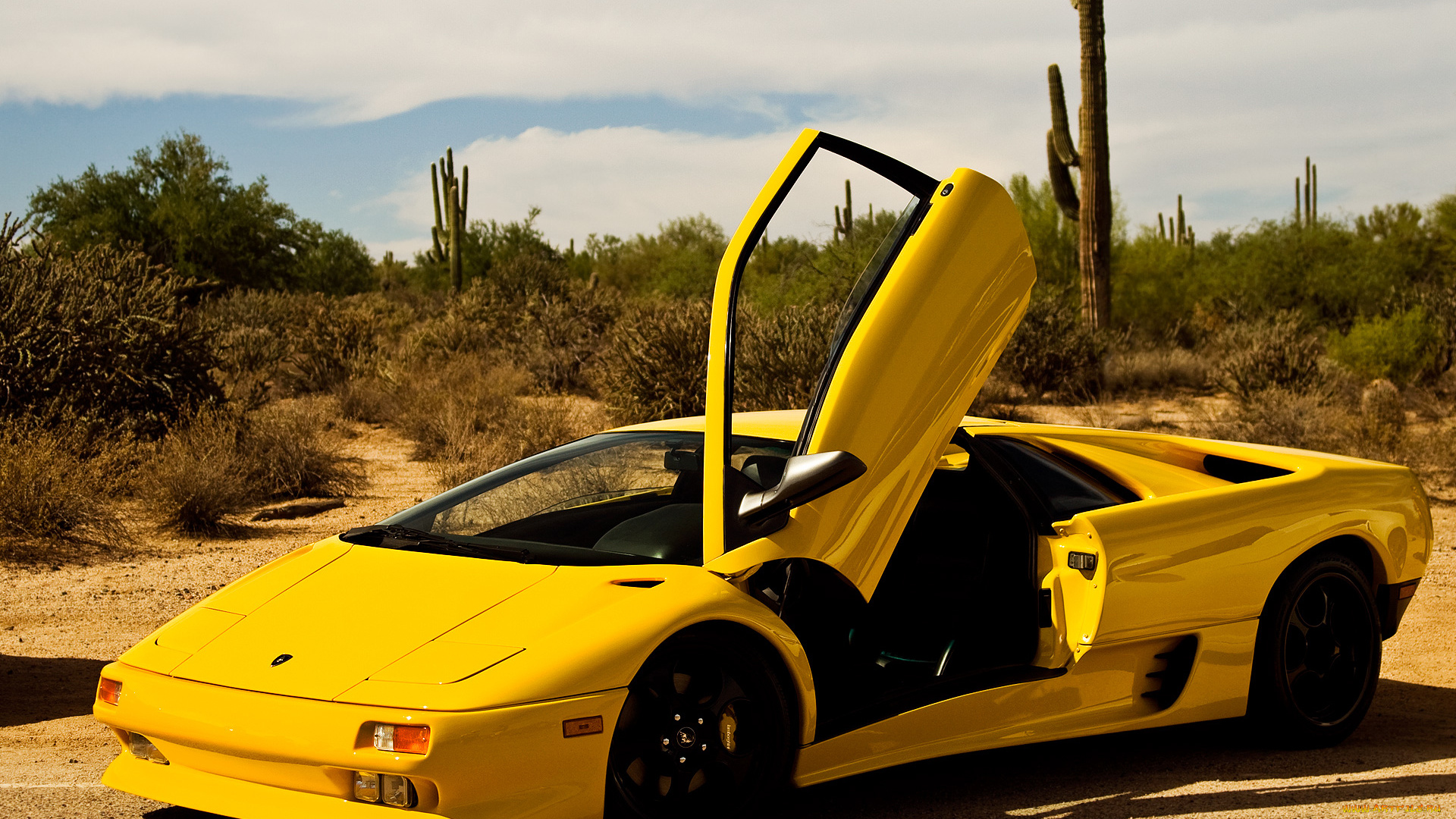 автомобили, lamborghini, небо, кактусы, диабло, желтый, пустыня, ламборгини, sky, cactus, desert, yellow, diablo, lamborgini