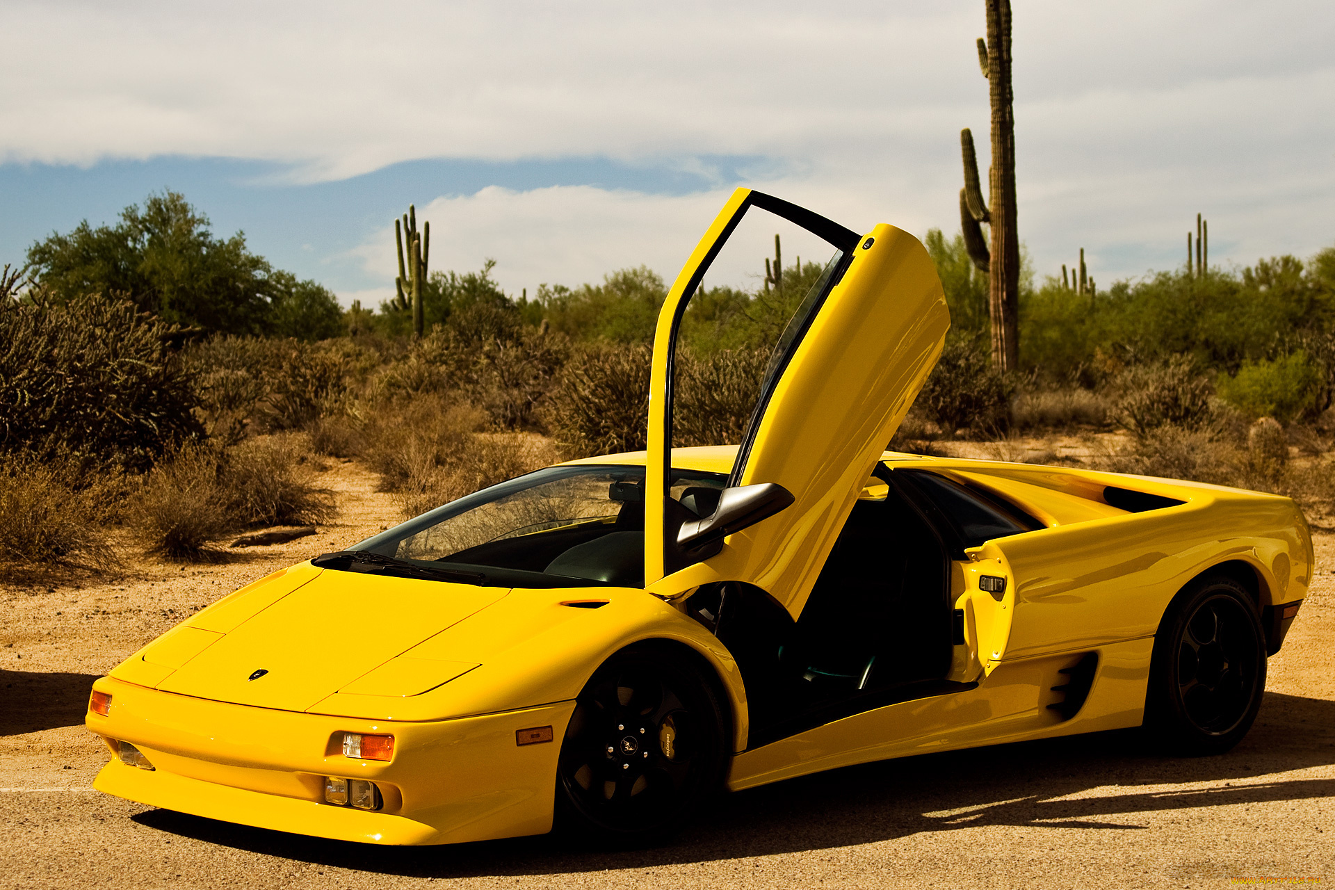 автомобили, lamborghini, небо, кактусы, диабло, желтый, пустыня, ламборгини, sky, cactus, desert, yellow, diablo, lamborgini