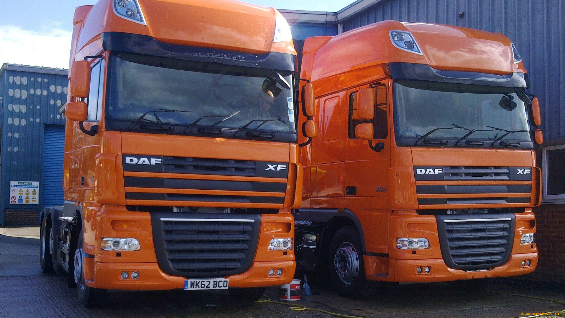 daf, автомобили, trucks, nv, седельные, тягачи, шасси, автобусы, нидерланды