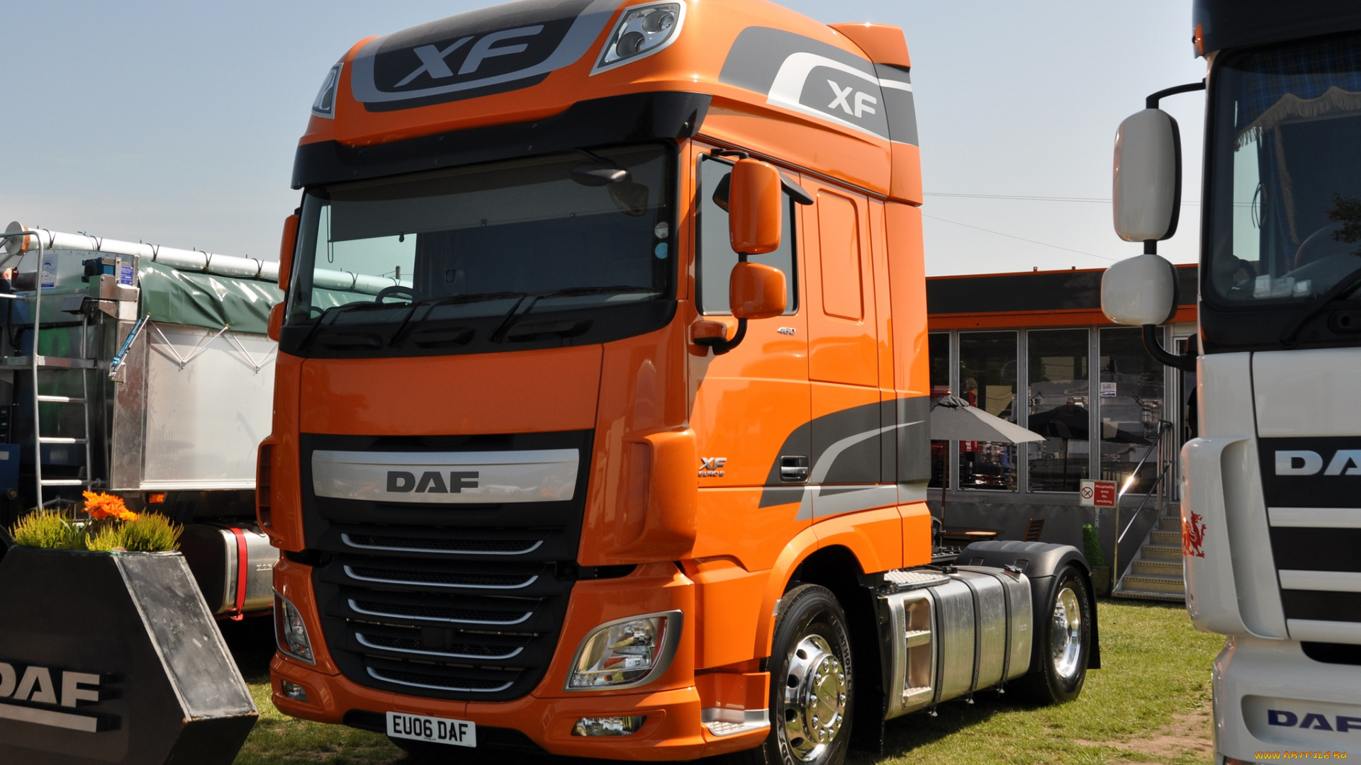 daf, автомобили, trucks, nv, седельные, тягачи, шасси, автобусы, нидерланды