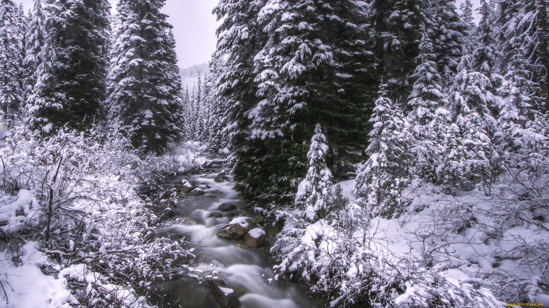 природа, зима, река, лес