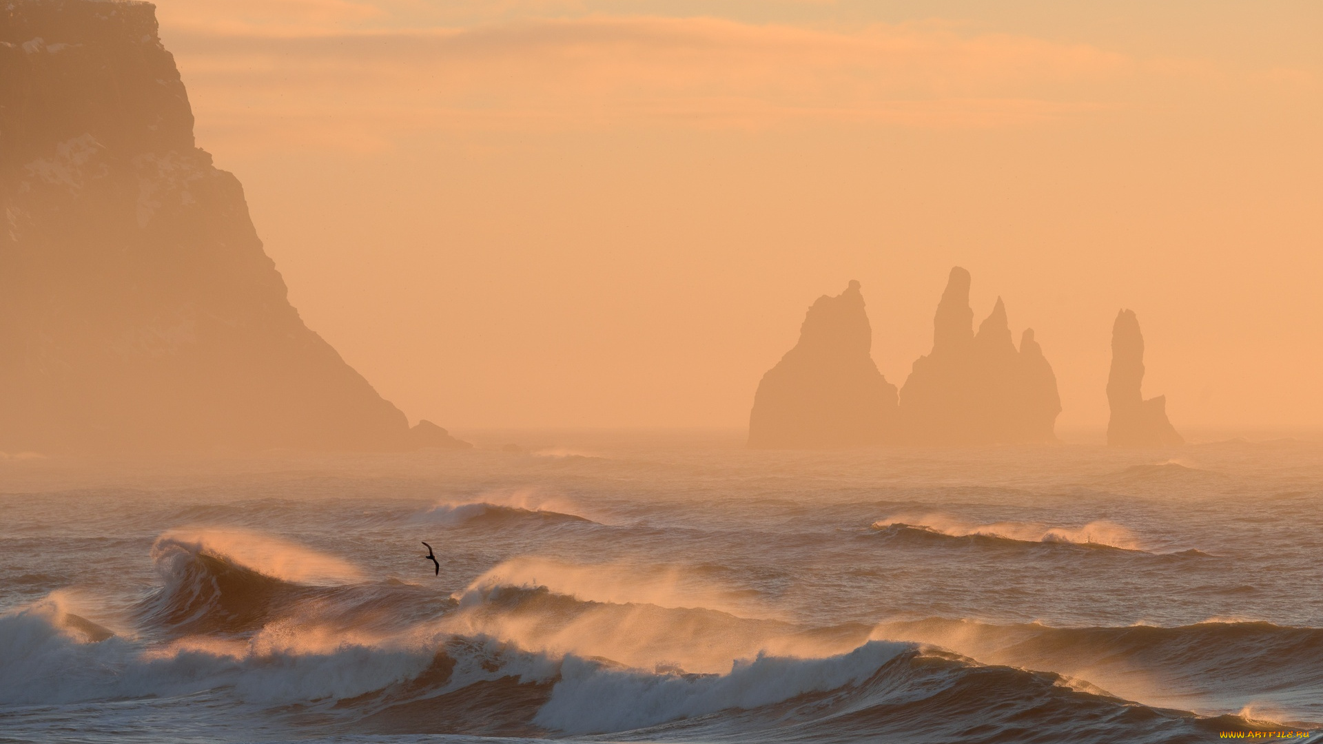рейнисдрангар, , исландия, природа, побережье, чайка, птица, берег, рассвет, туман, море, скалы