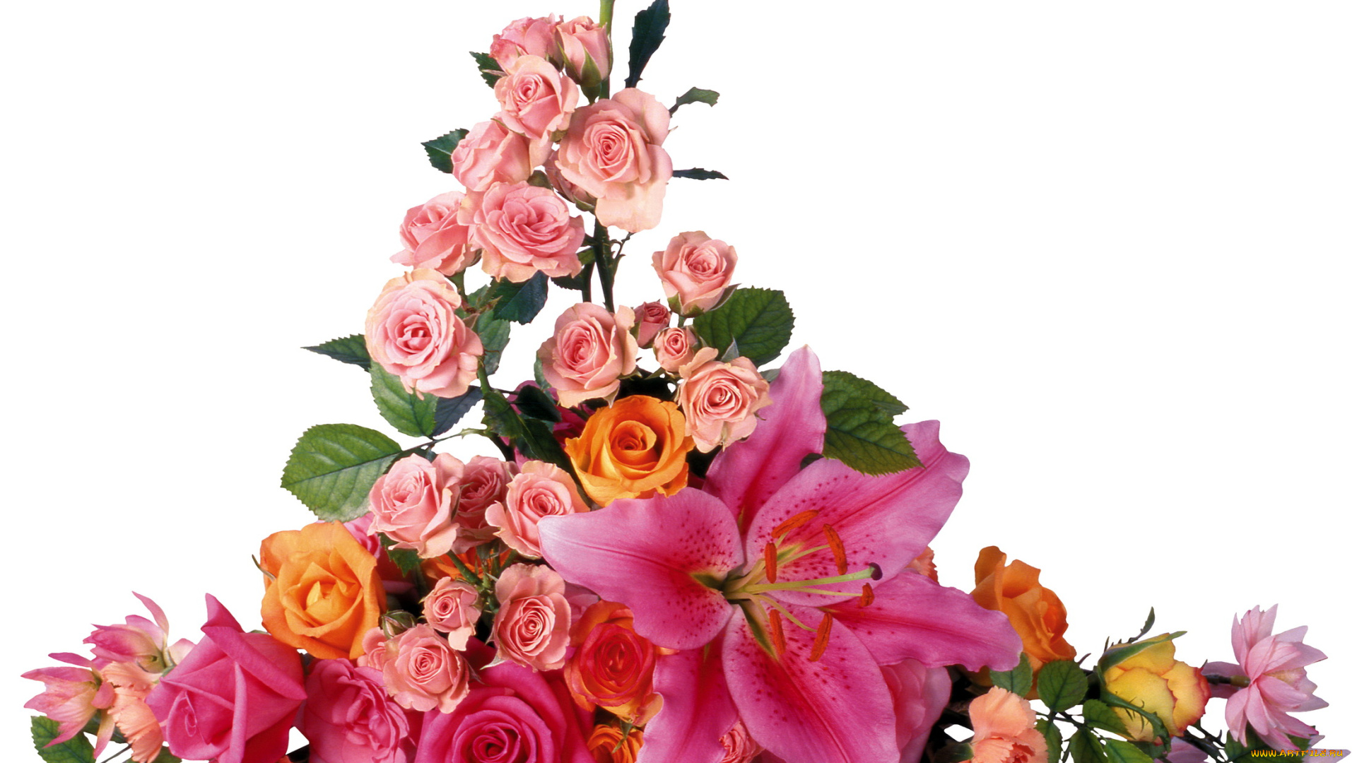 цветы, букеты, композиции, розовый, лилия, розы