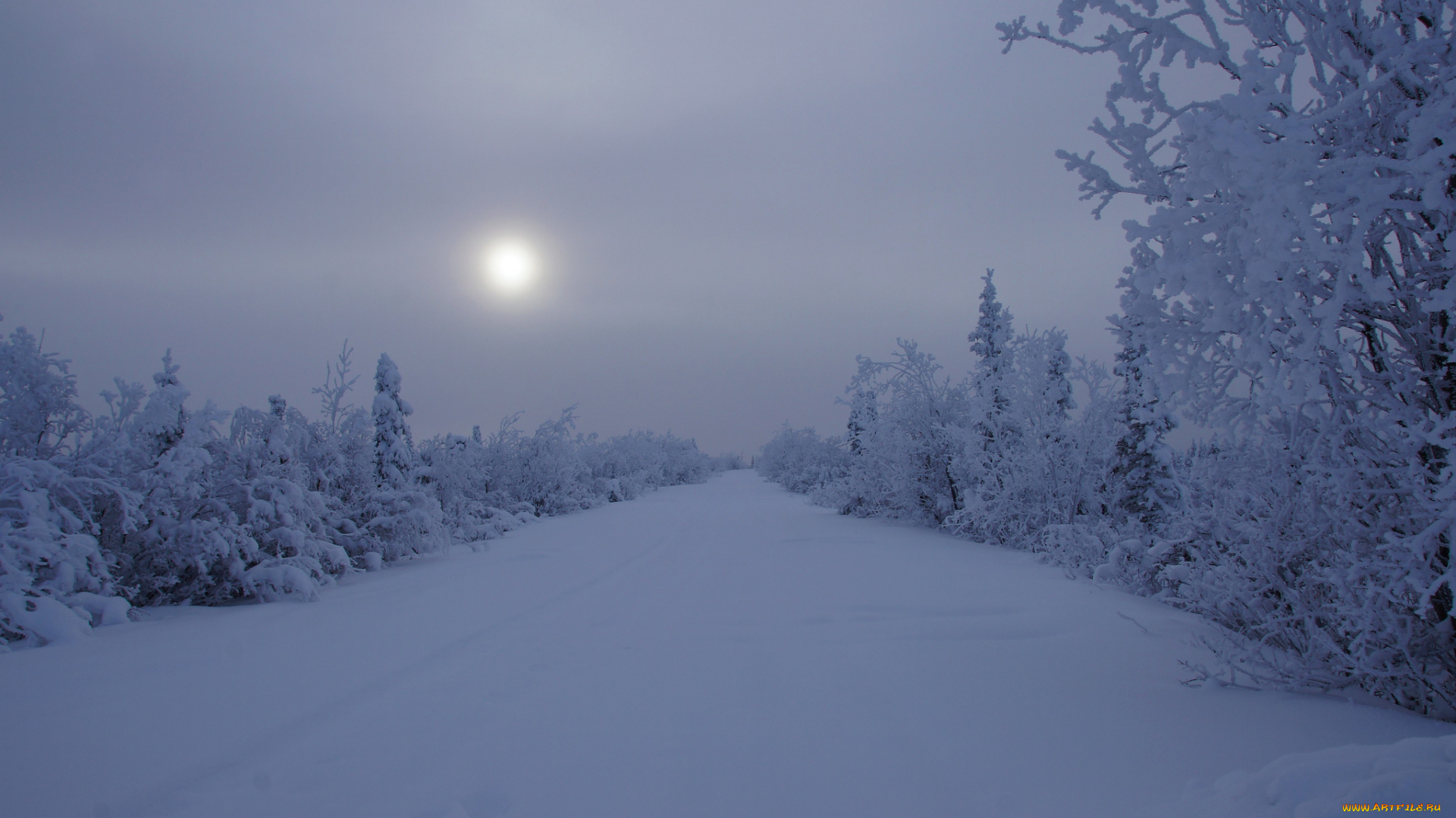 alaska, природа, зима, аляска, снег, утро