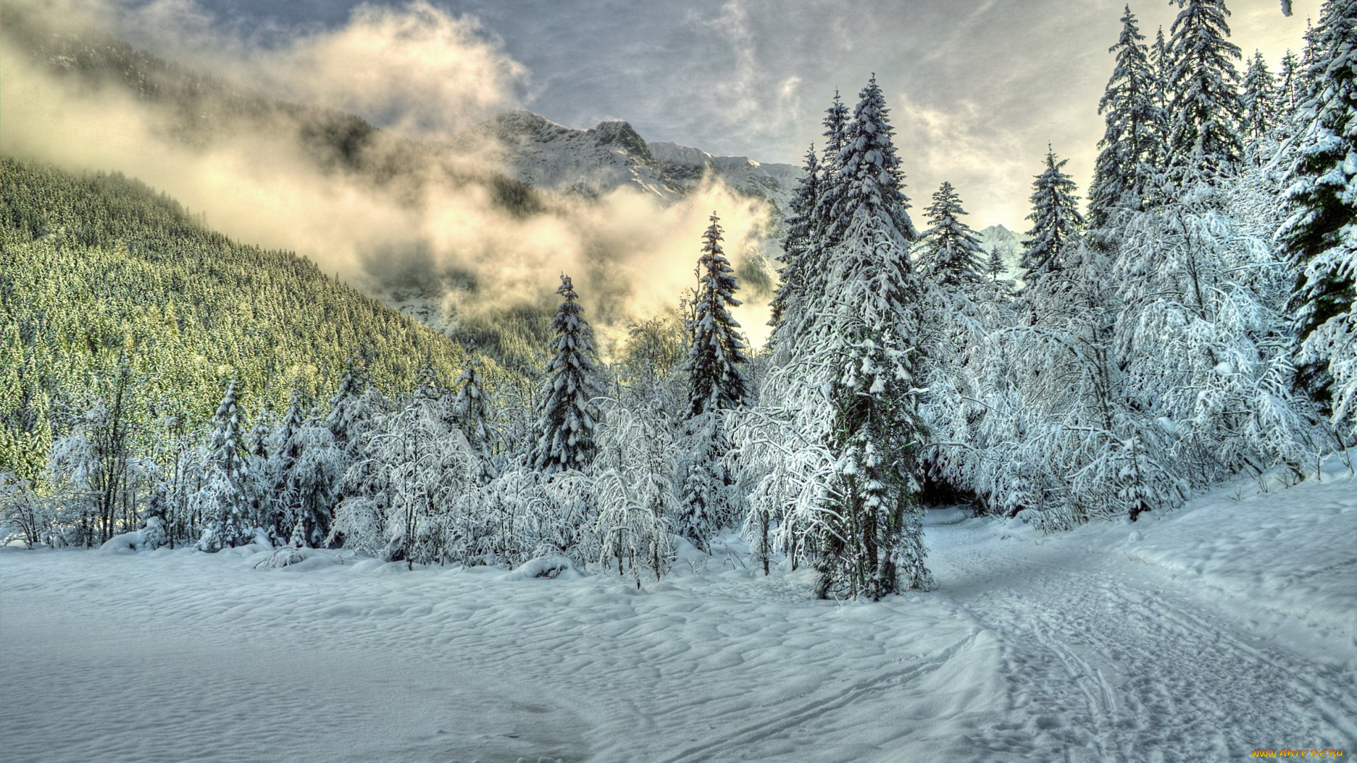 австрийские, альпы, природа, зима, снег, горы, ели