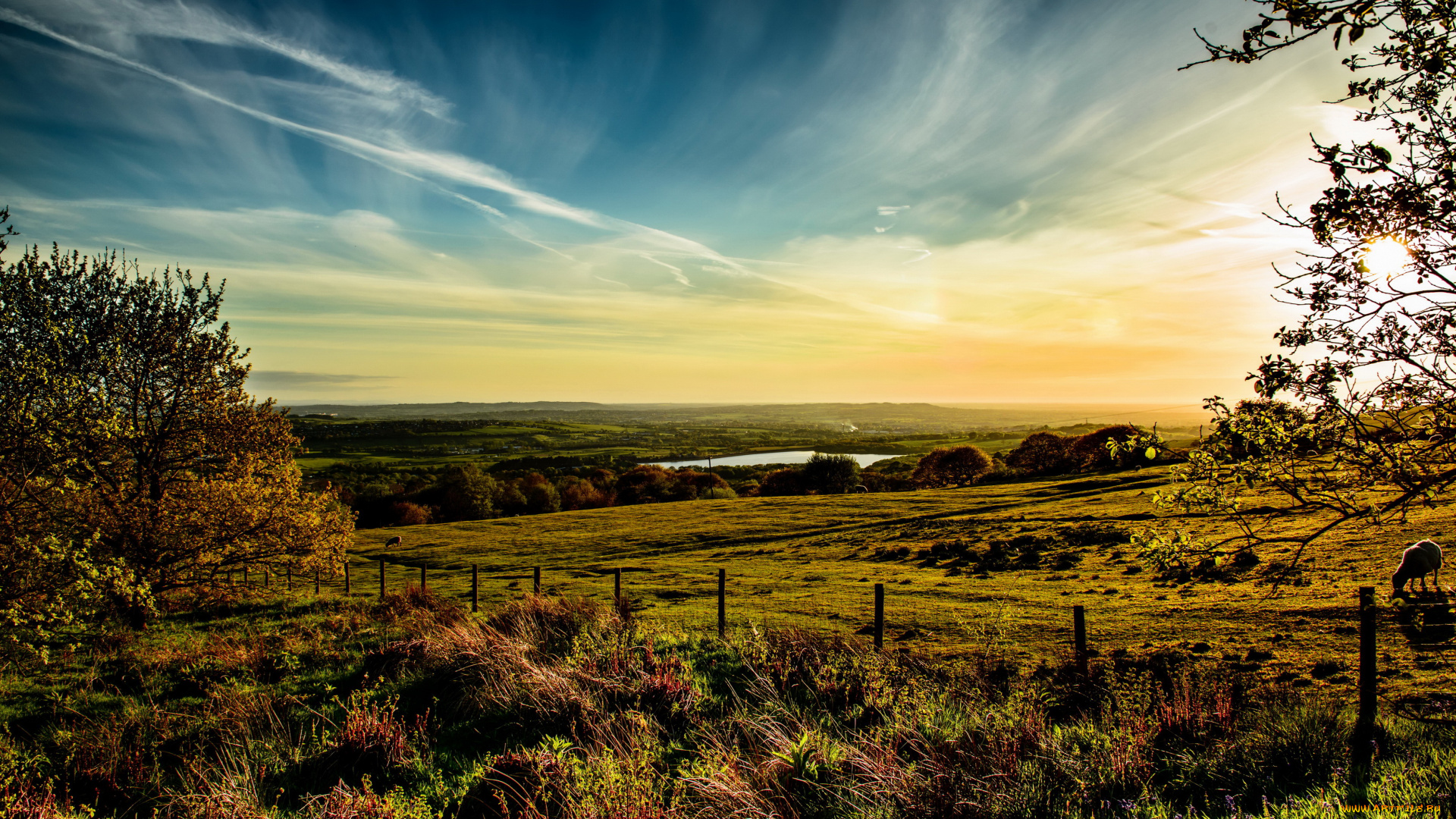 horwich, англия, природа, луга