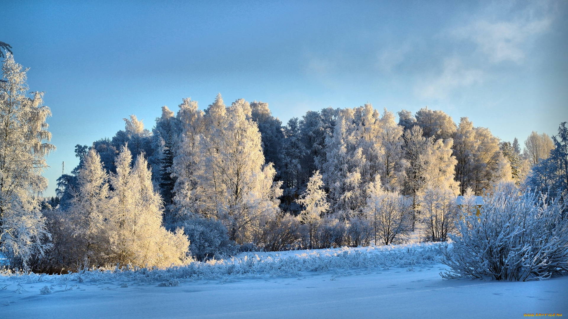 природа, зима, снег, деревья, пейзаж
