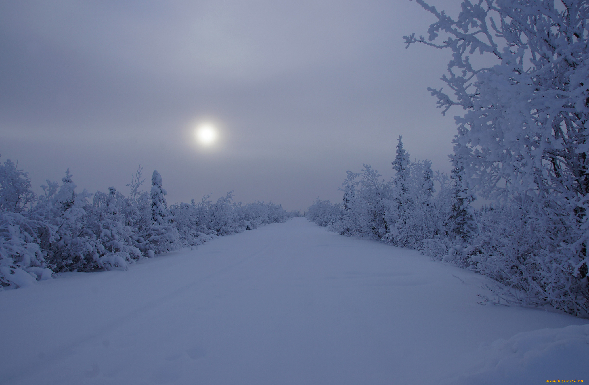 alaska, природа, зима, аляска, снег, утро
