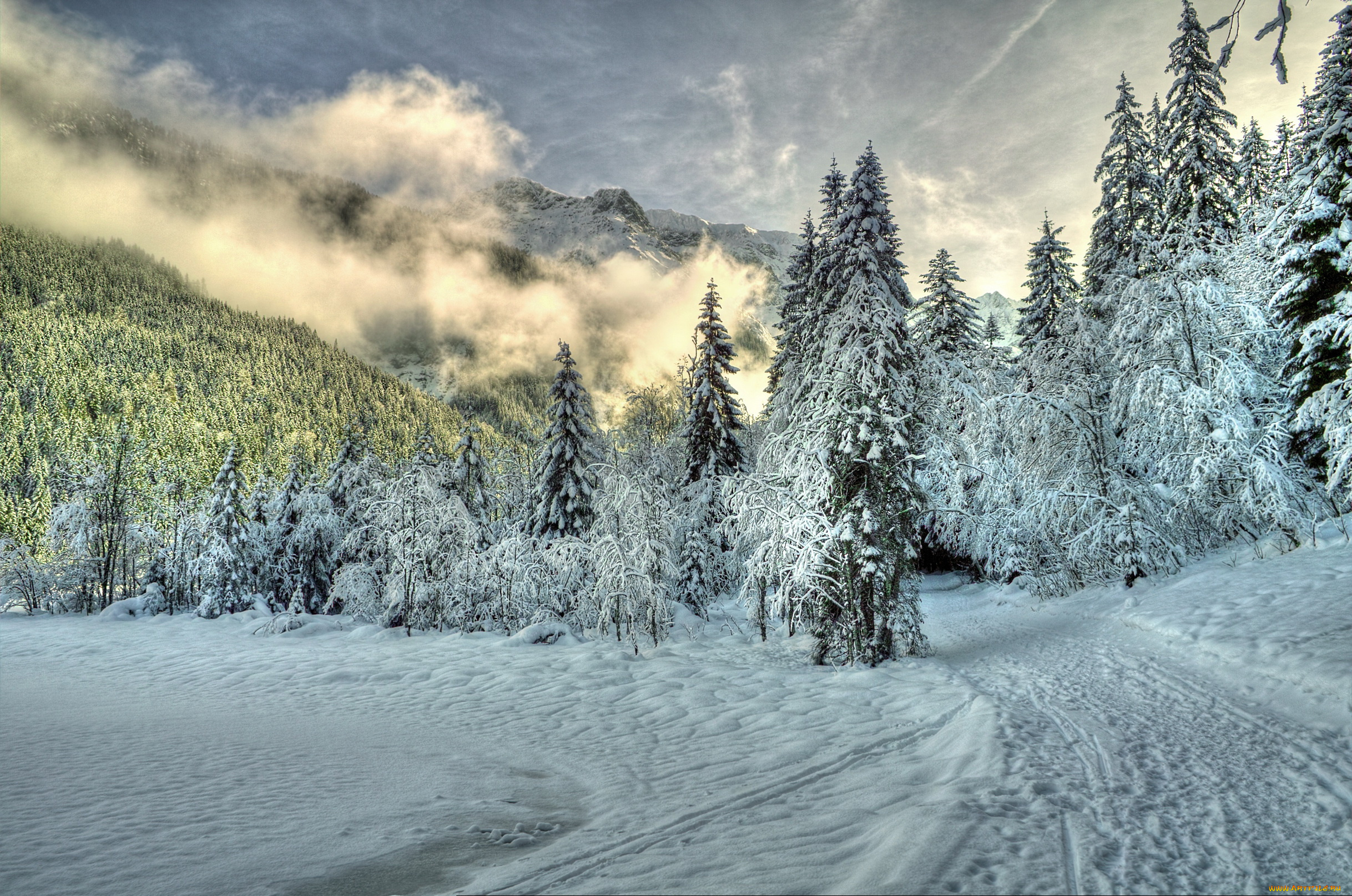 австрийские, альпы, природа, зима, снег, горы, ели