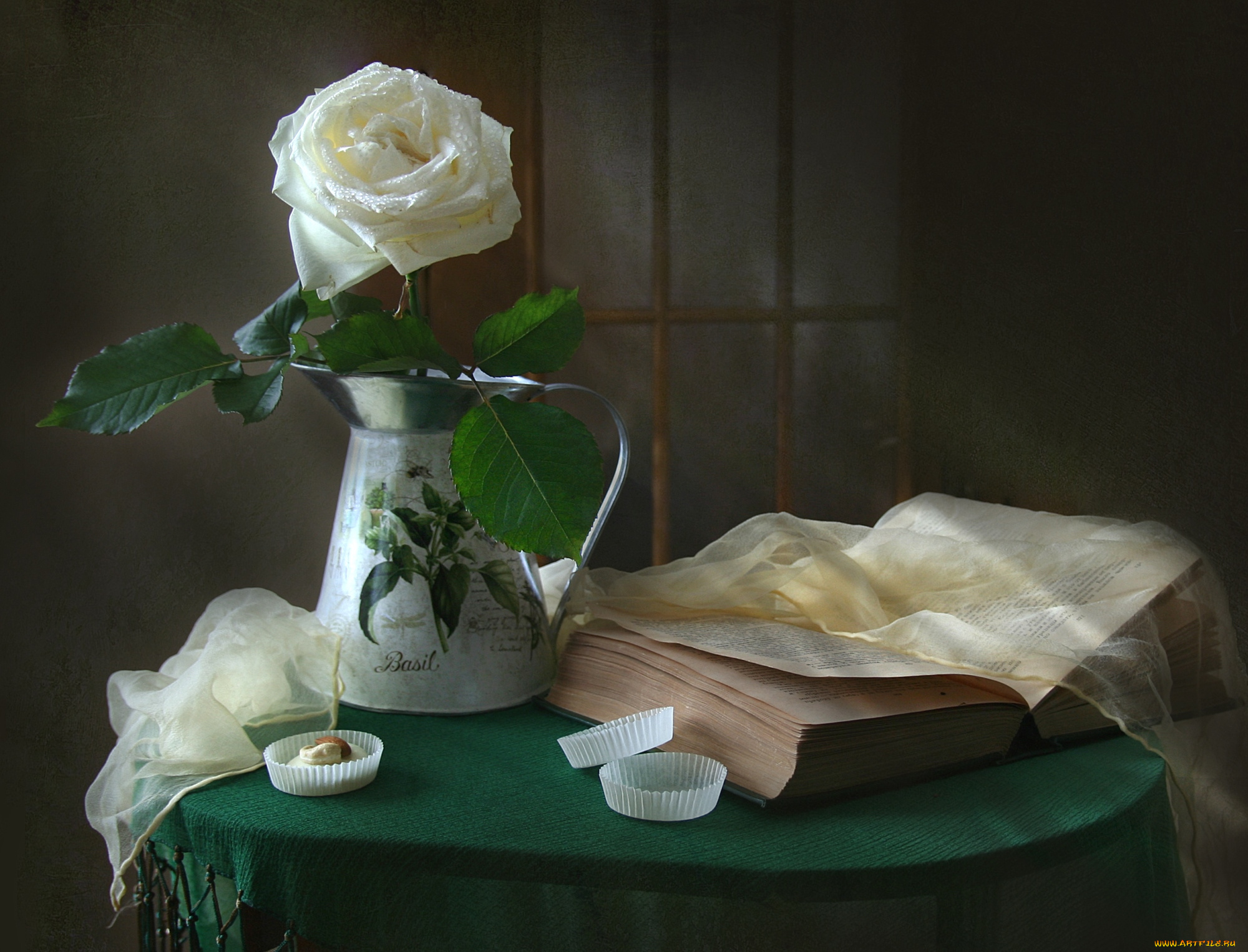 цветы, розы, натюрморт, книга