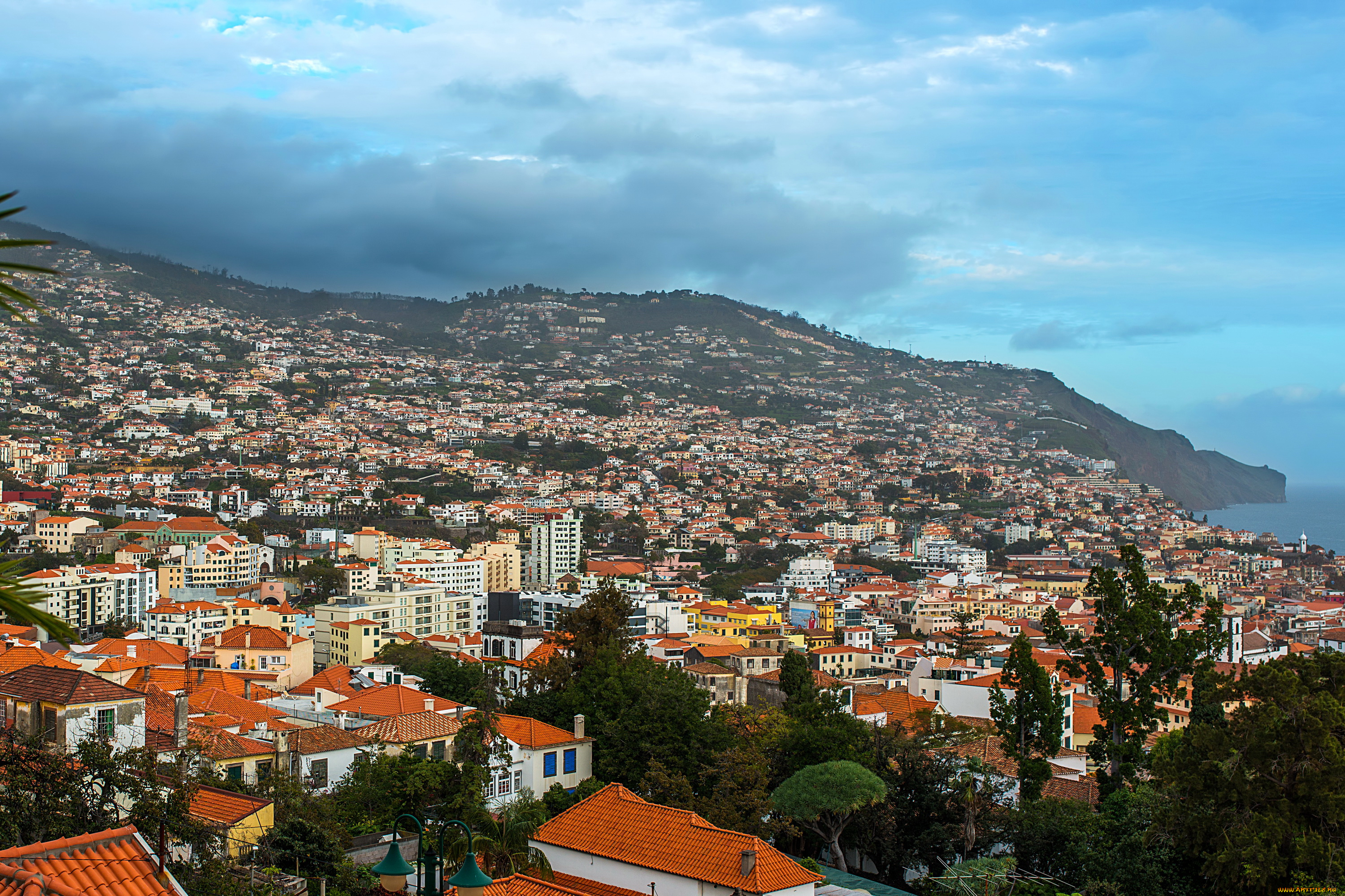 funchal, madeira, города, -, панорамы, панорама, дома, португалия, madeira, funchal